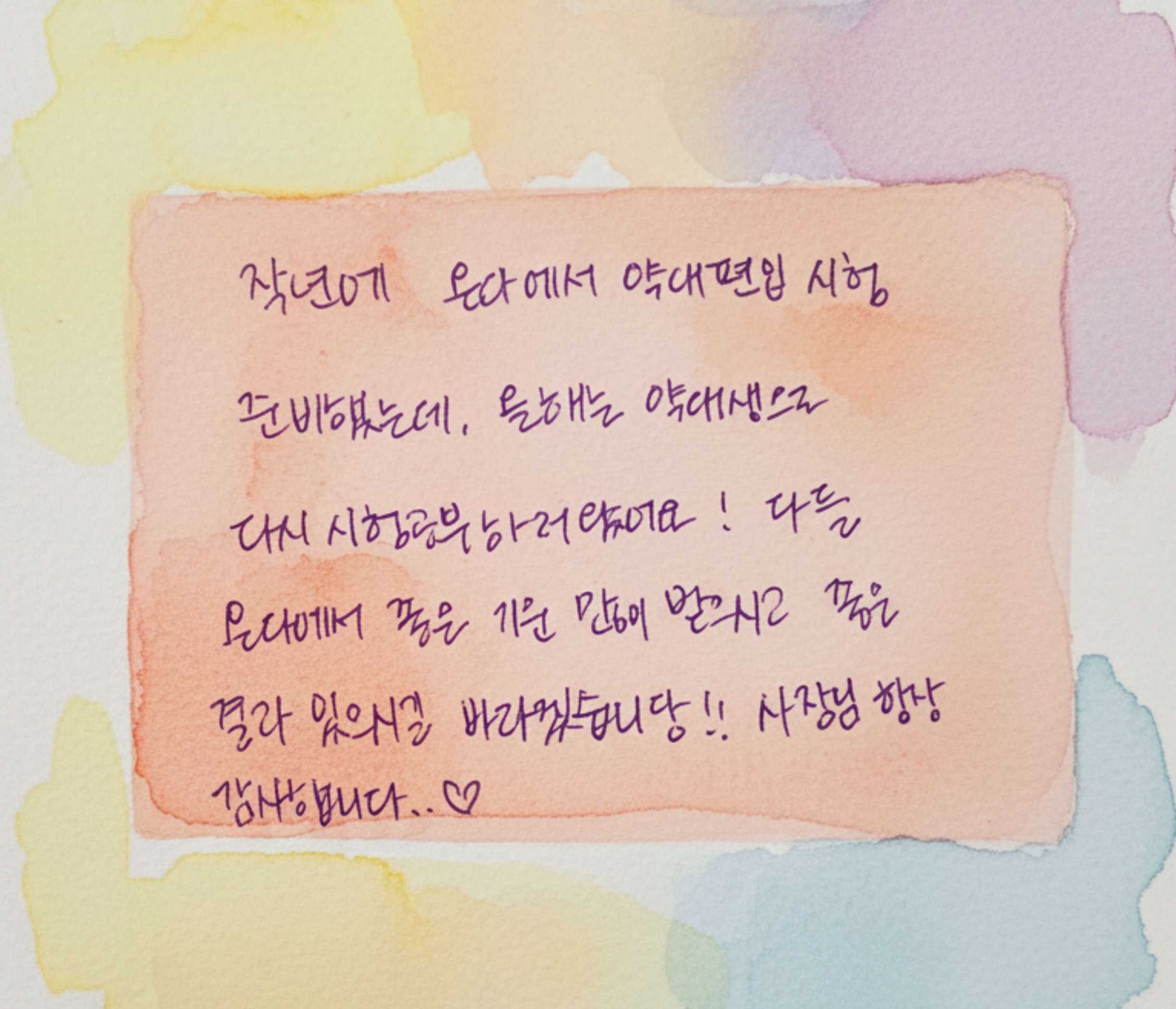 업체사진