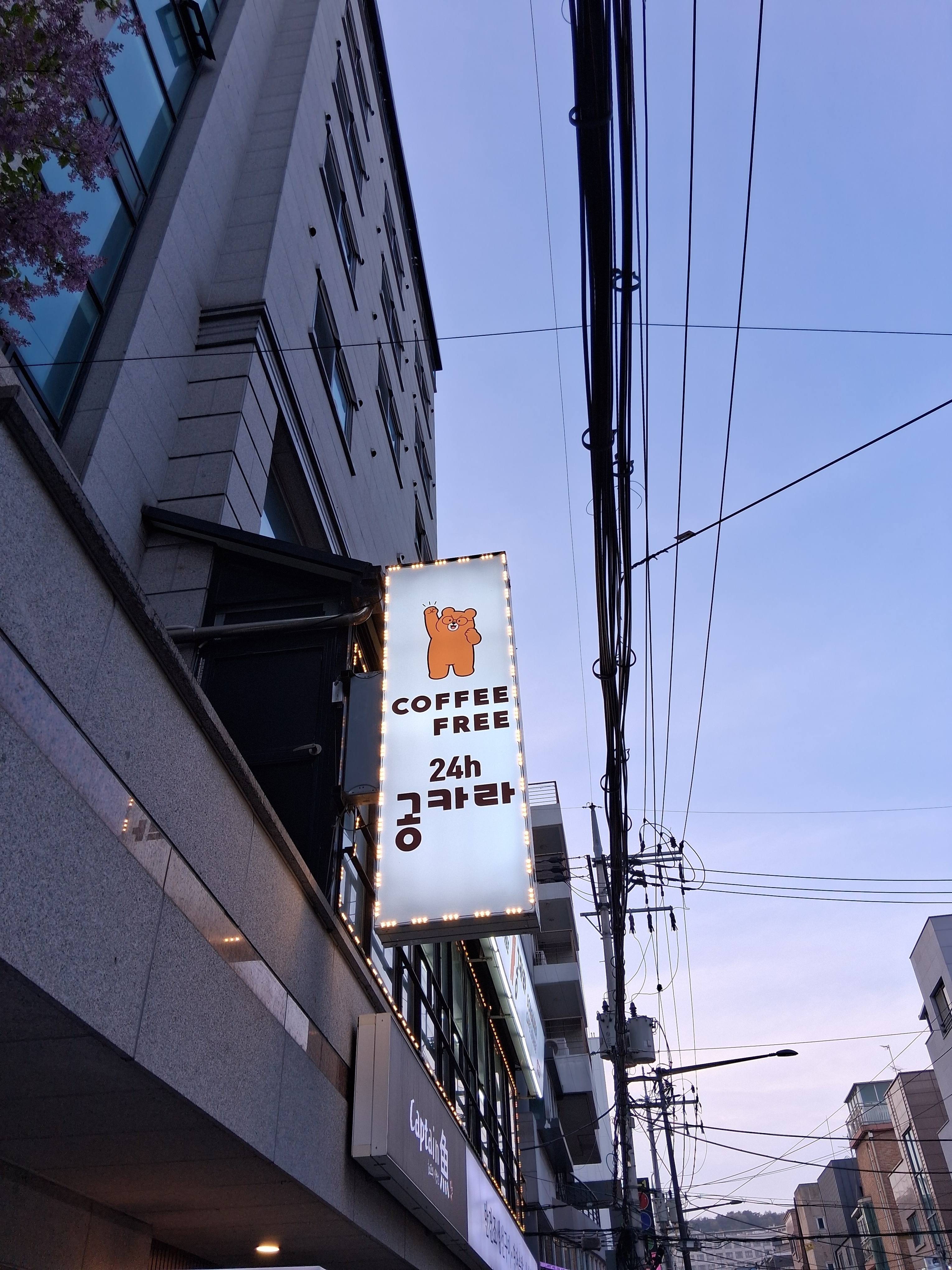 업체사진