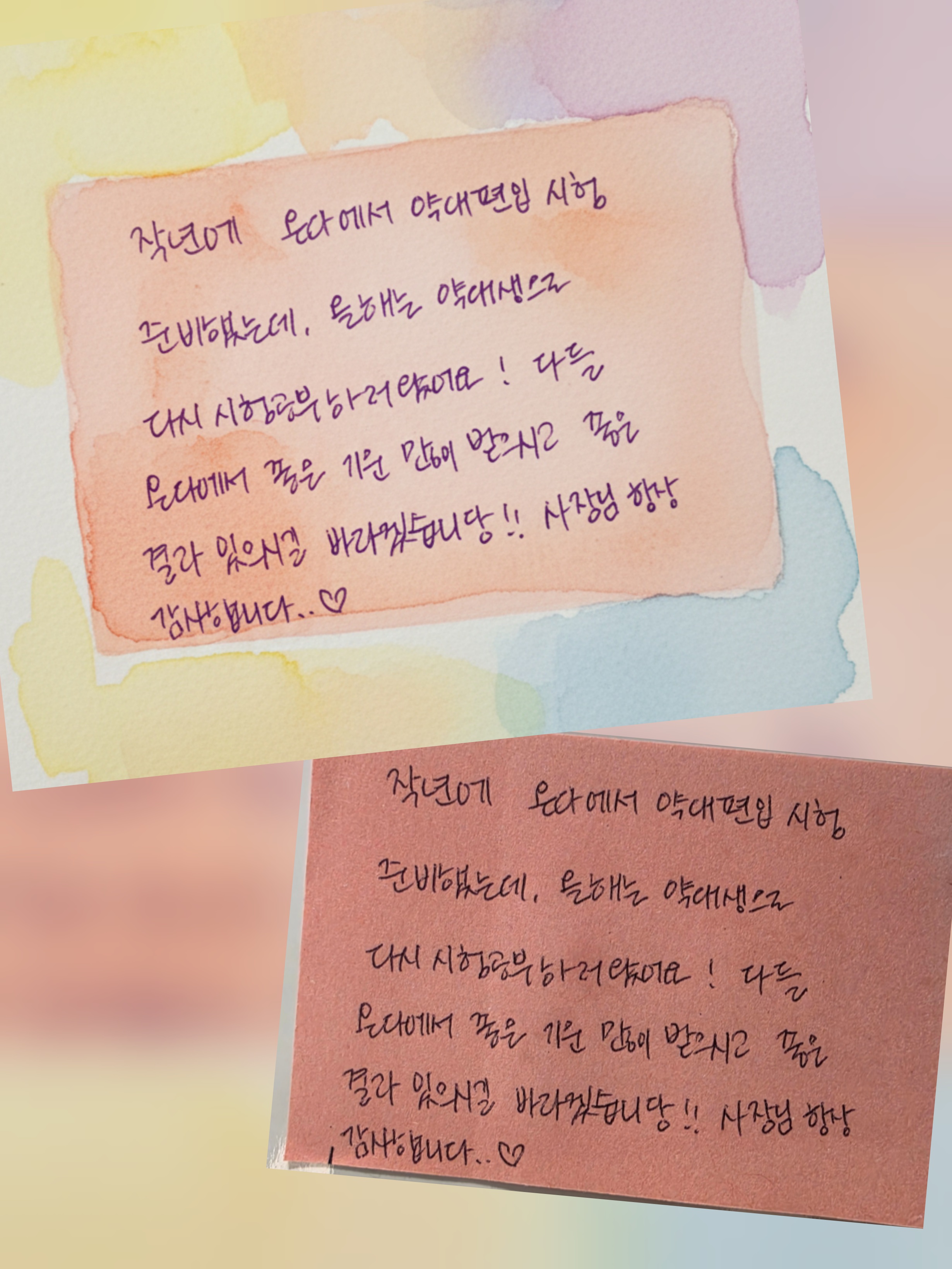 업체사진