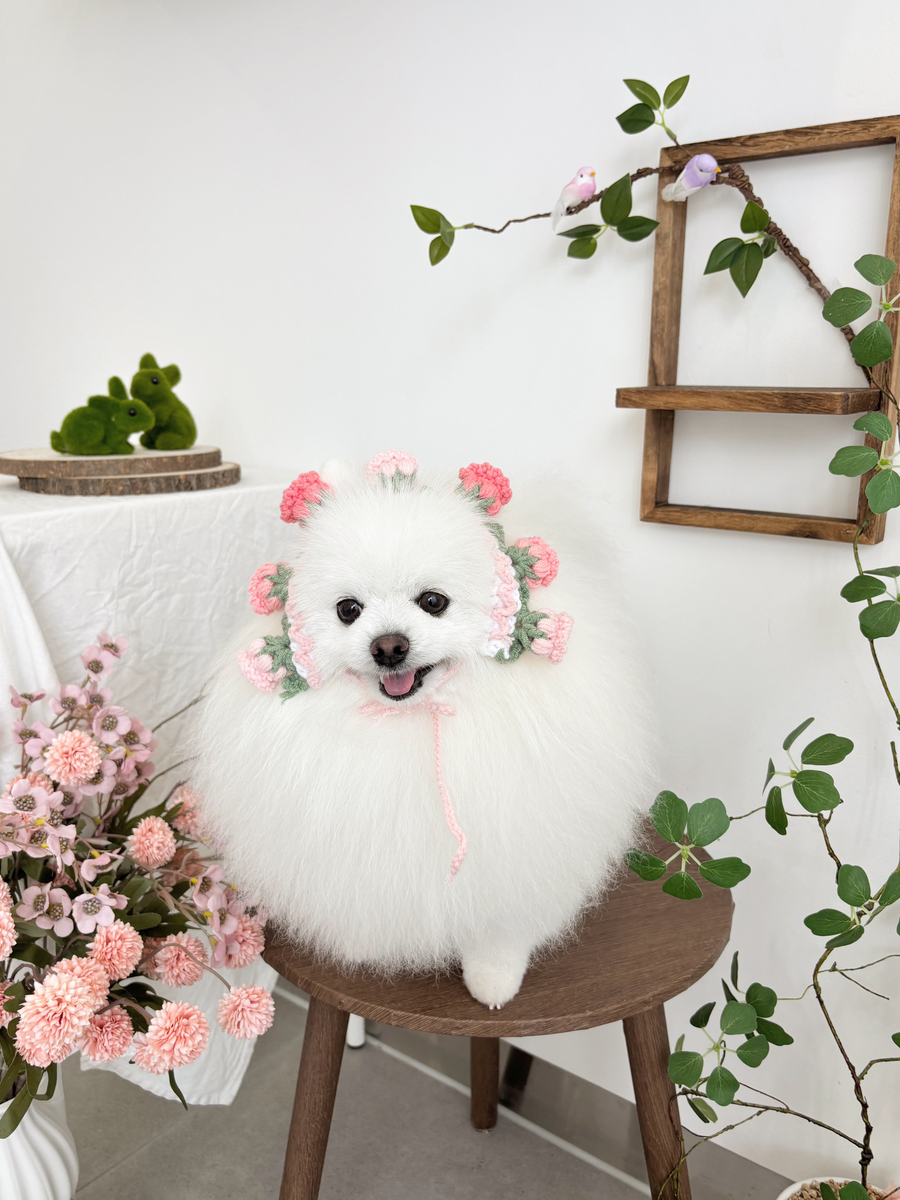 그루머,연 대표 이미지