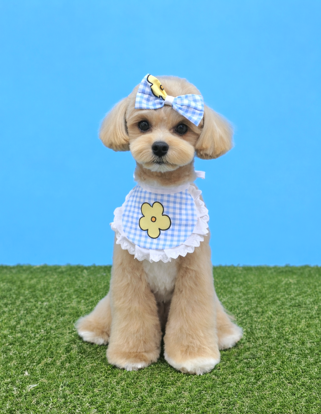 트리밍마인드 대표 이미지