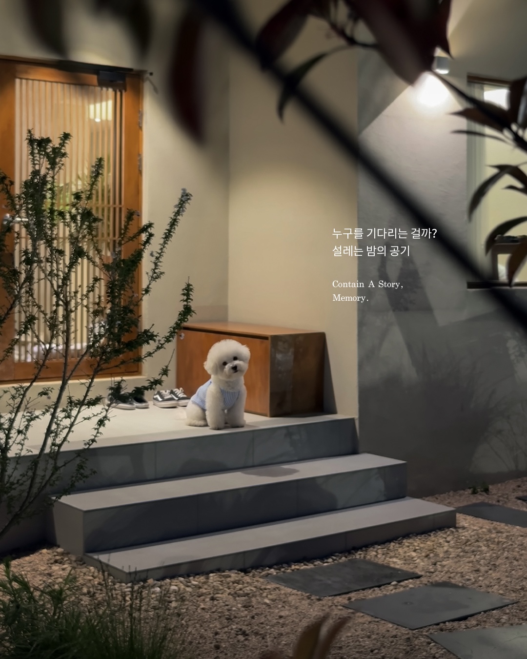 스테이더담 예산 오가점 예산군 애견숙소