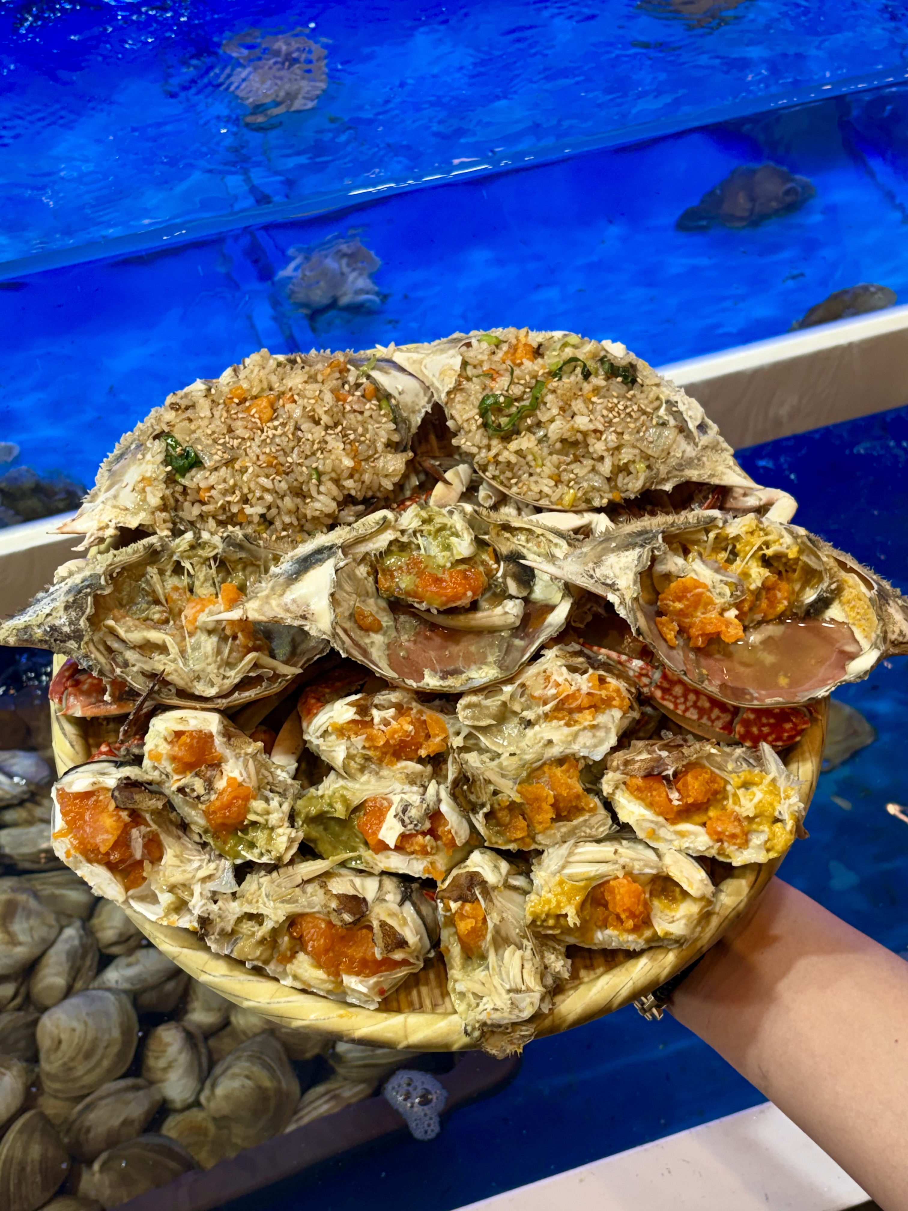 활! 알베기 꽃게 구이&찜 한정