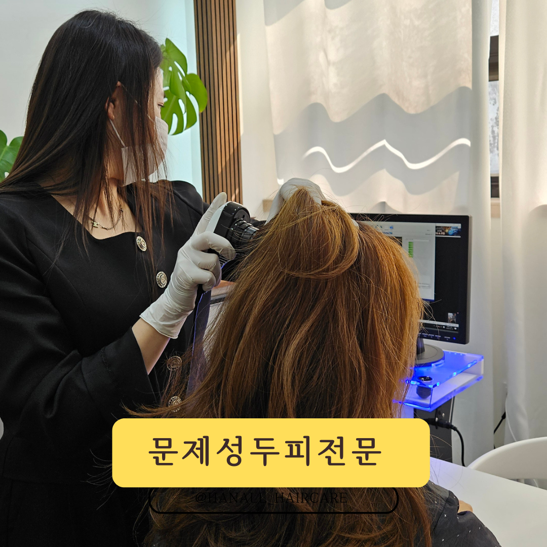 한올 photo 2