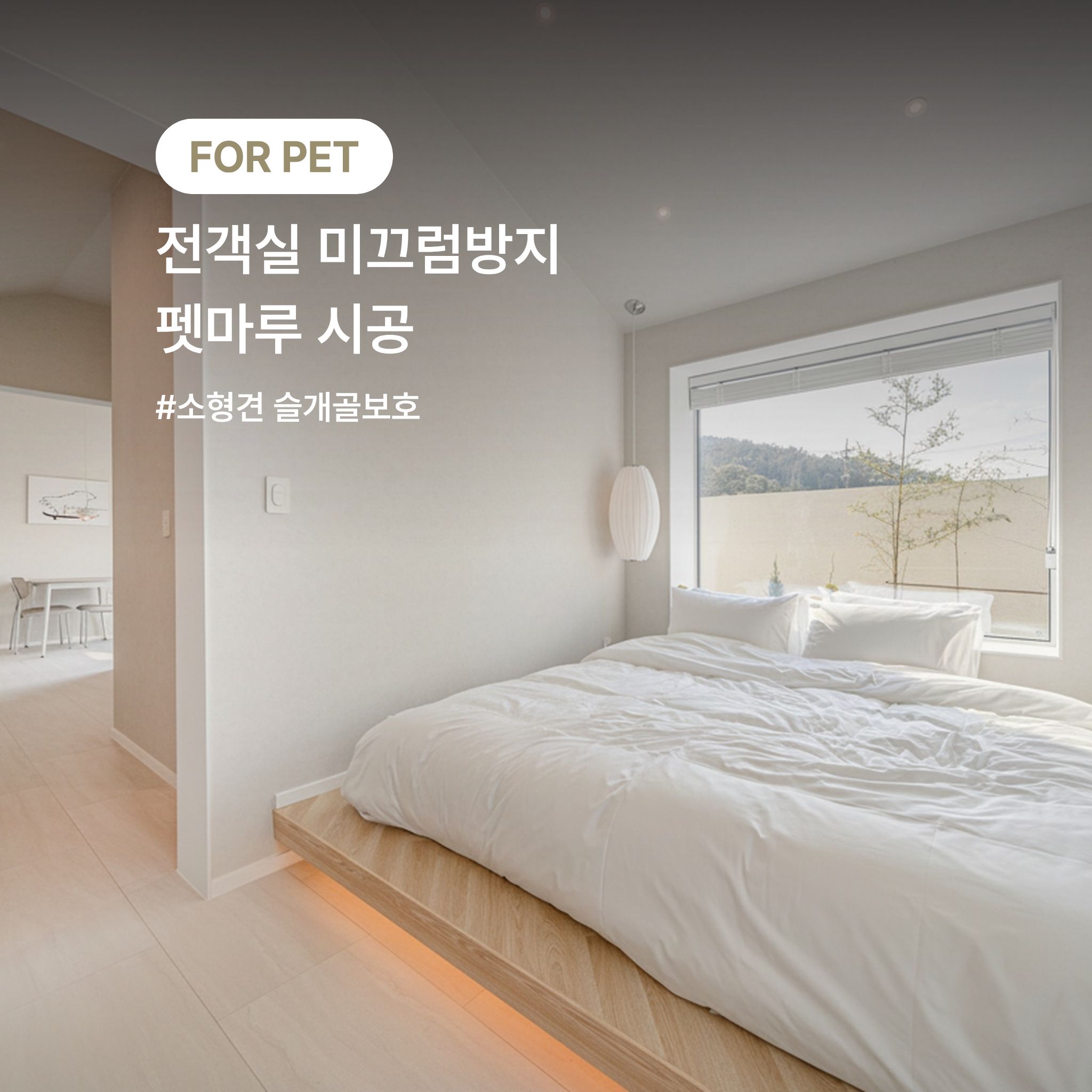 사진 3