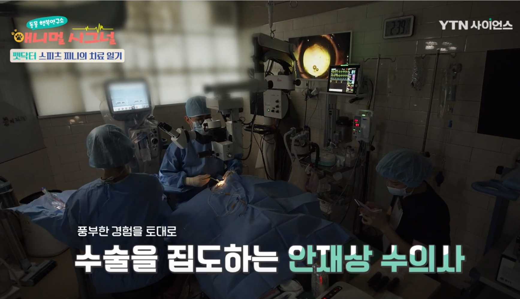 청담눈초롱안과동물병원 대표 이미지