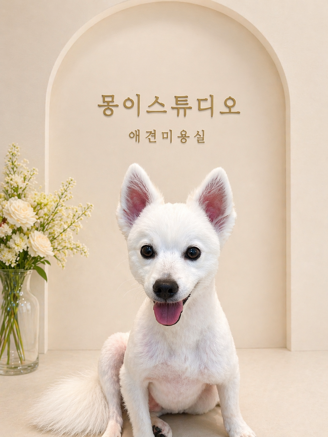 몽이스튜디오