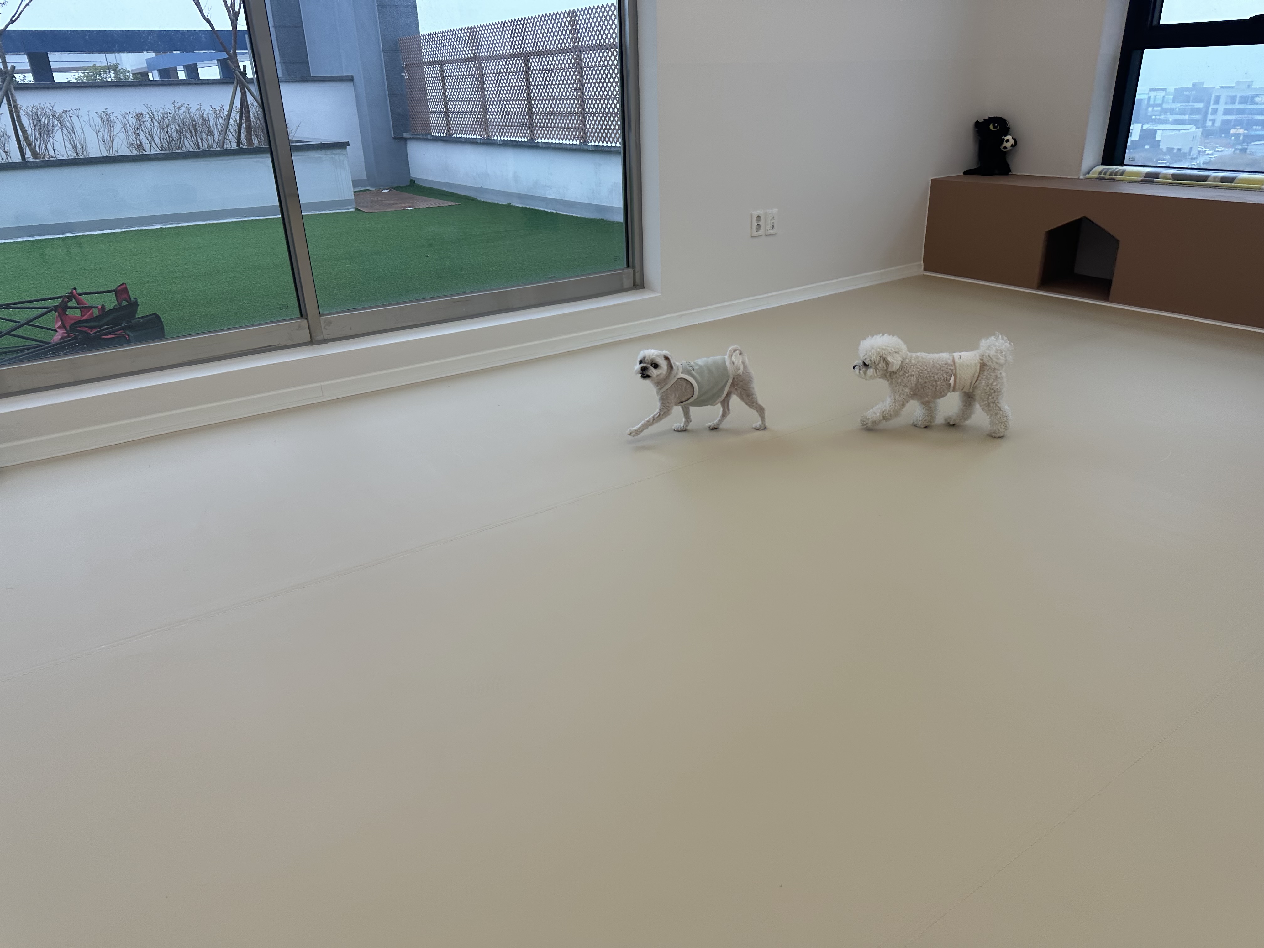 로로하우스 대표 이미지