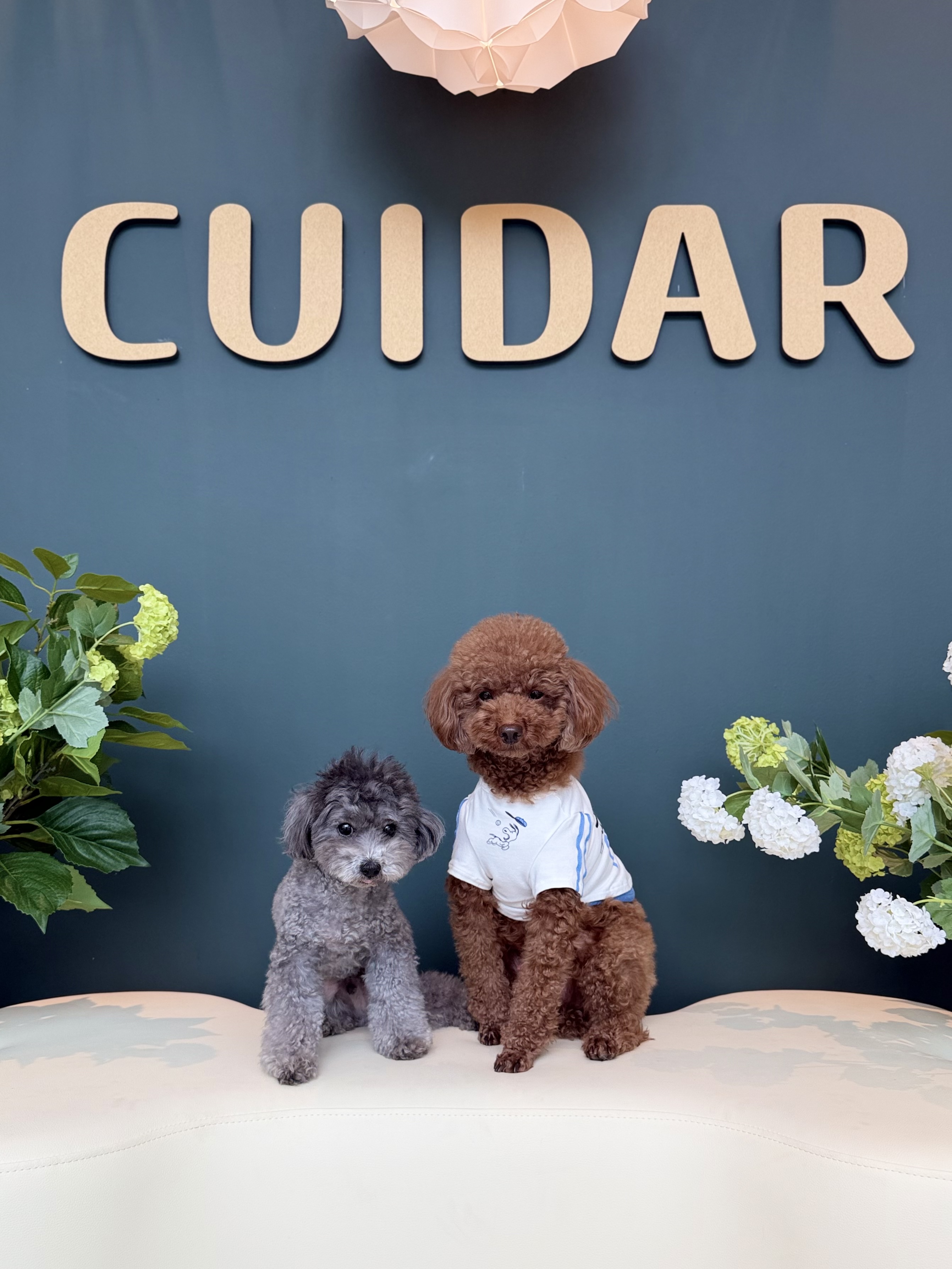 쿠이다르 대표 이미지