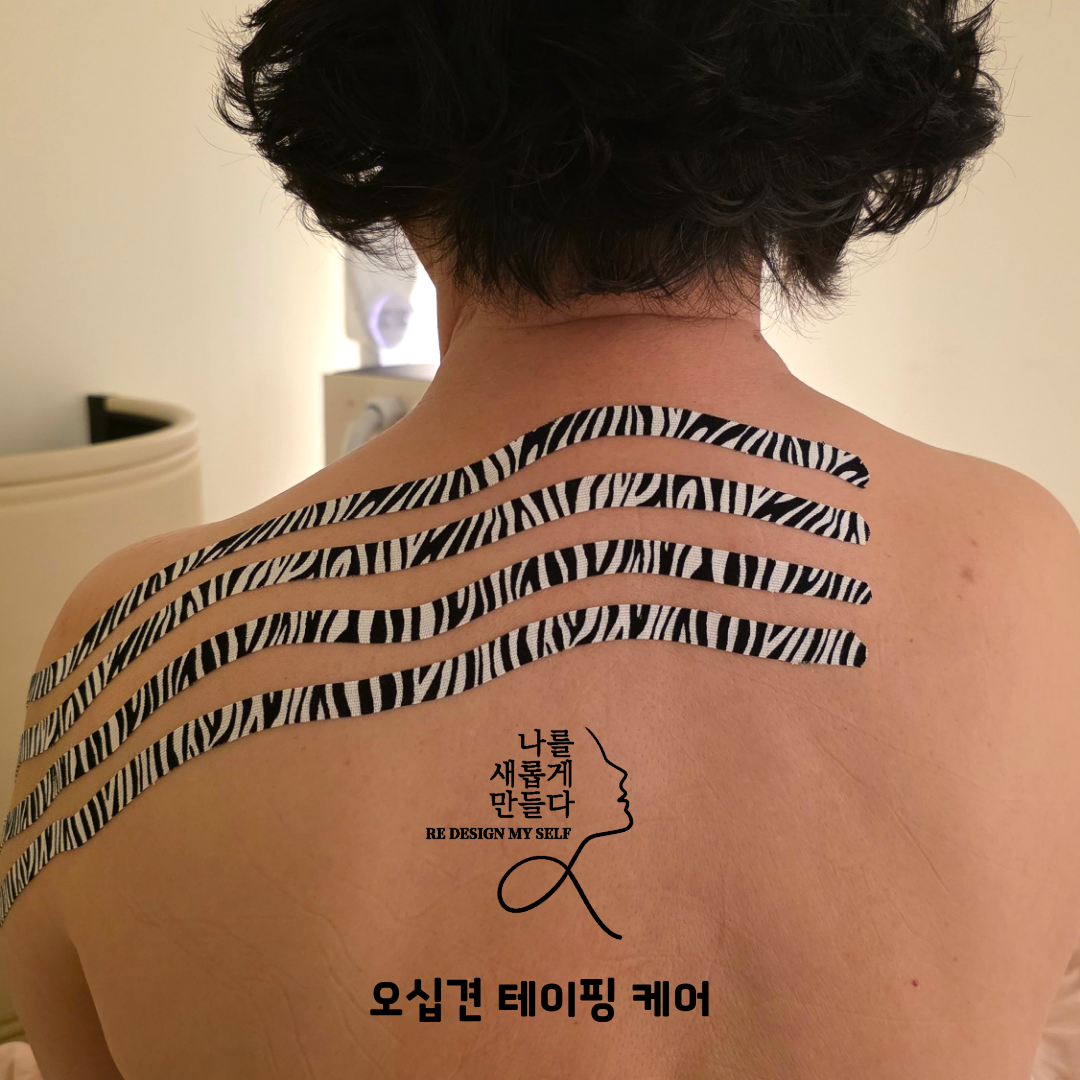나를새롭게만들다 photo 4
