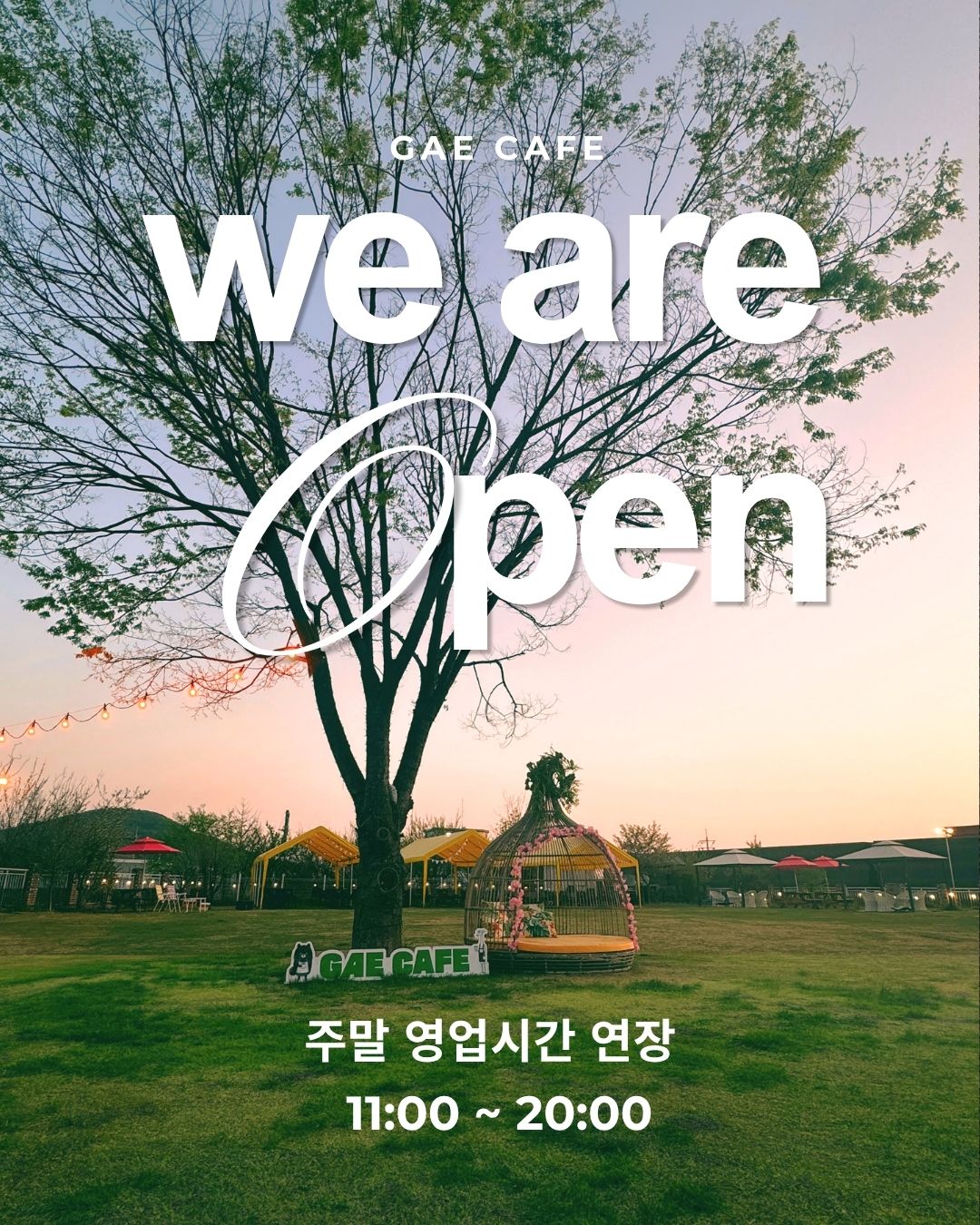 전설의강아지 반려동물 동반 애견카페