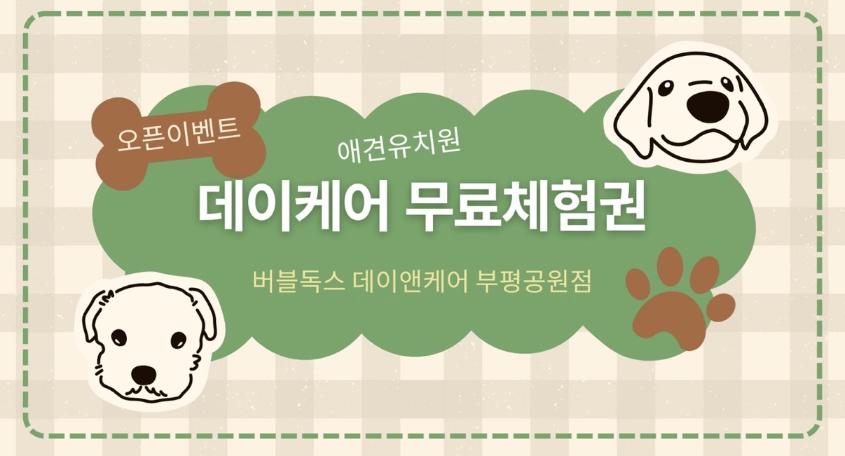 버블독스데이앤케어 부평공원점 2