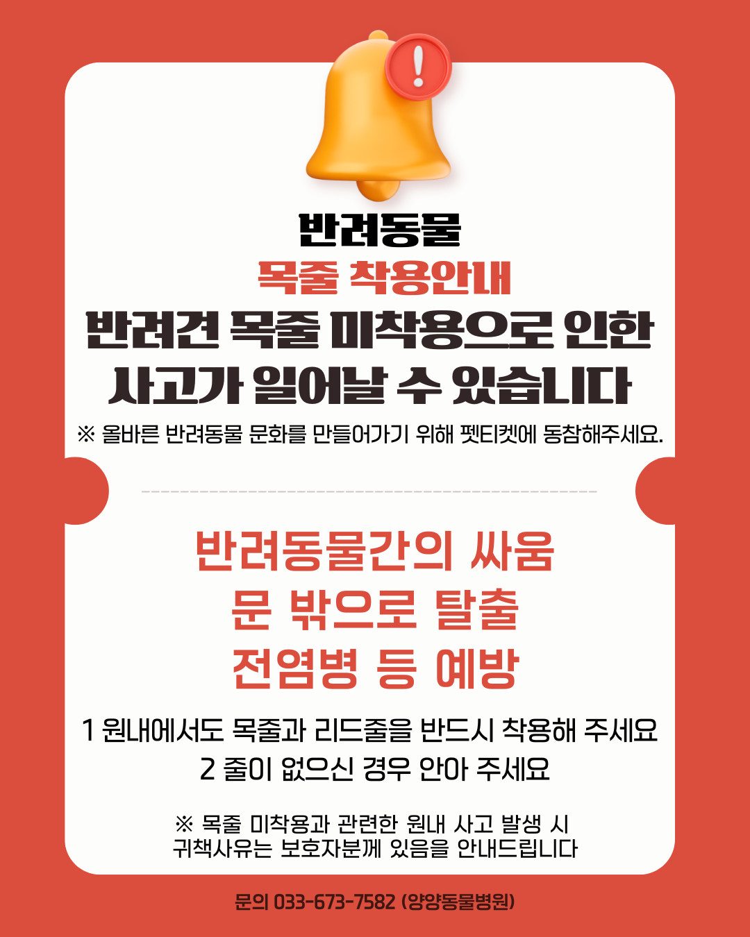 양양동물병원 사진 5