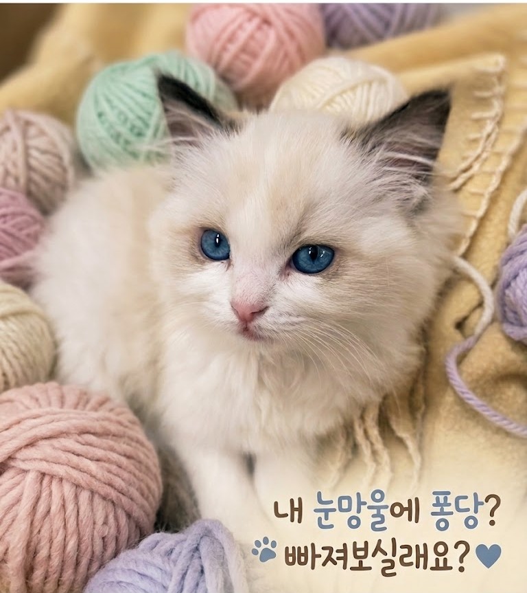 업체사진