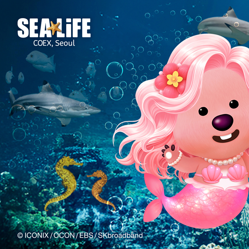 SEA LIFE COEXアクアリウムの旅行写真