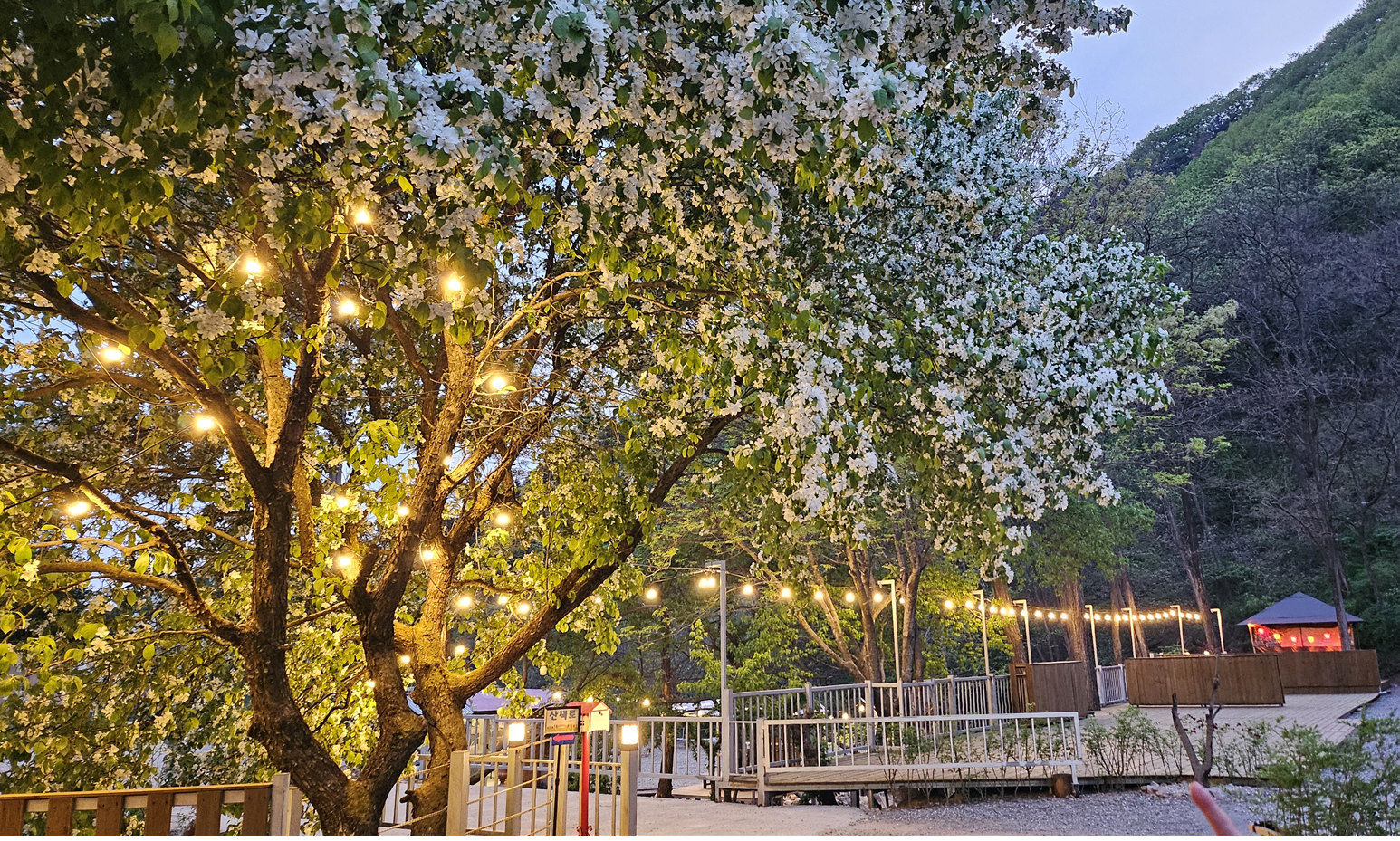 사진 2