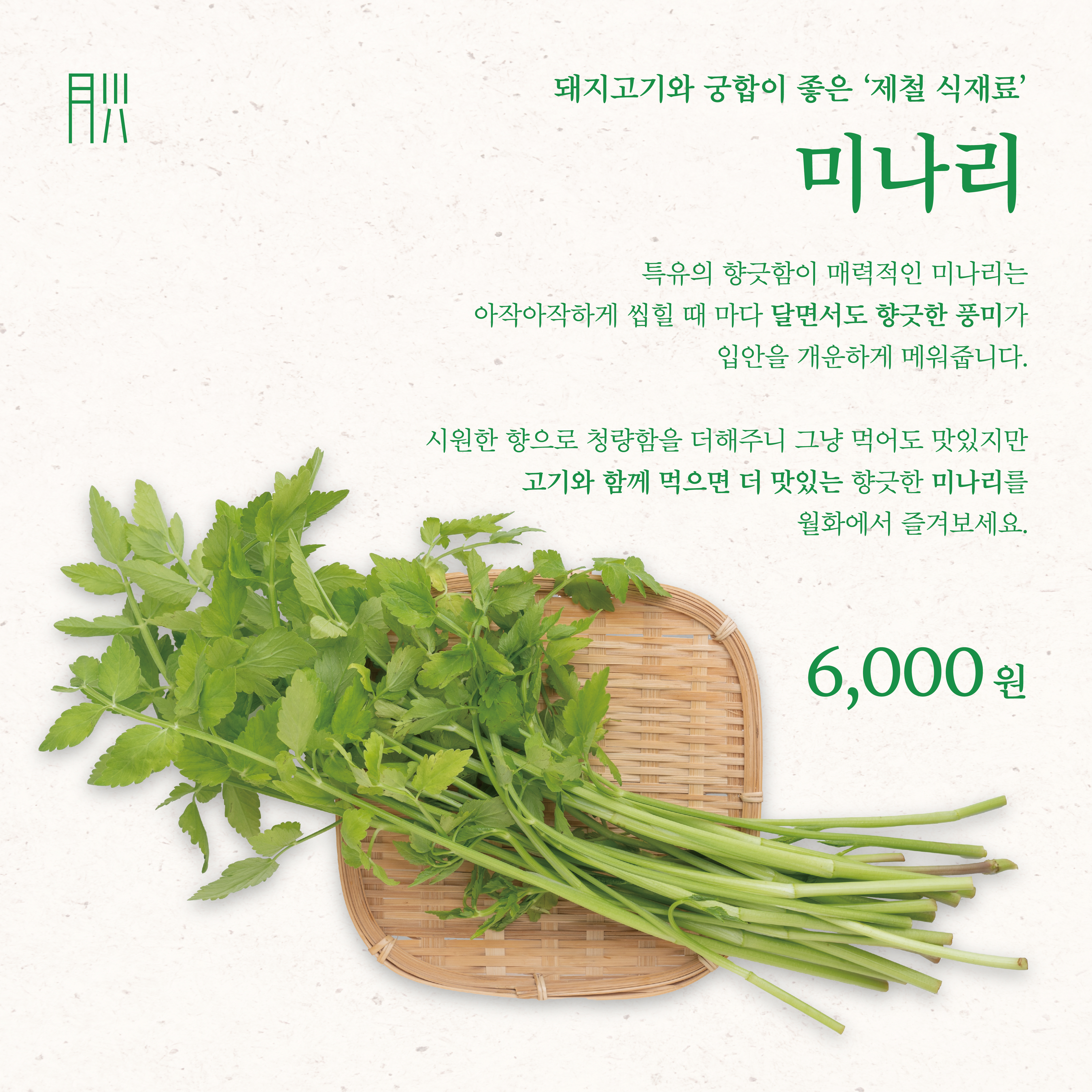 미나리 [월화 제철 식재료]