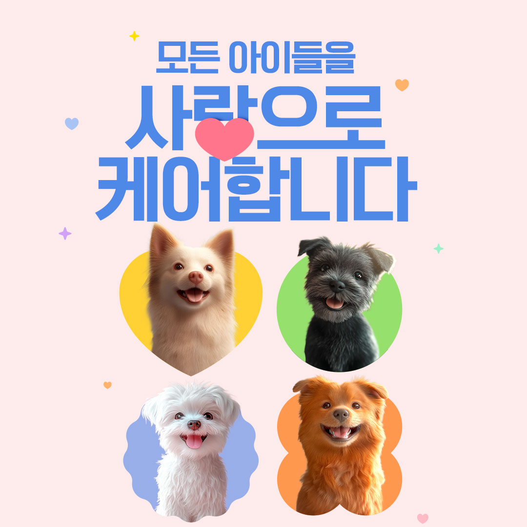 오미네애견유치원호텔&카페