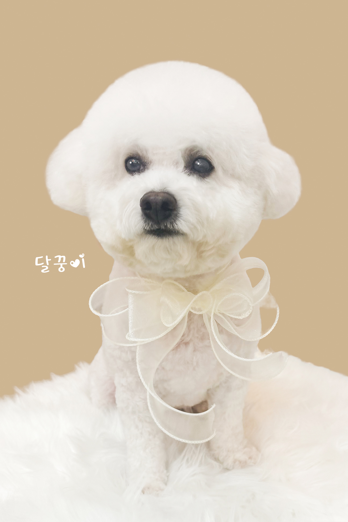 예쁘개 4