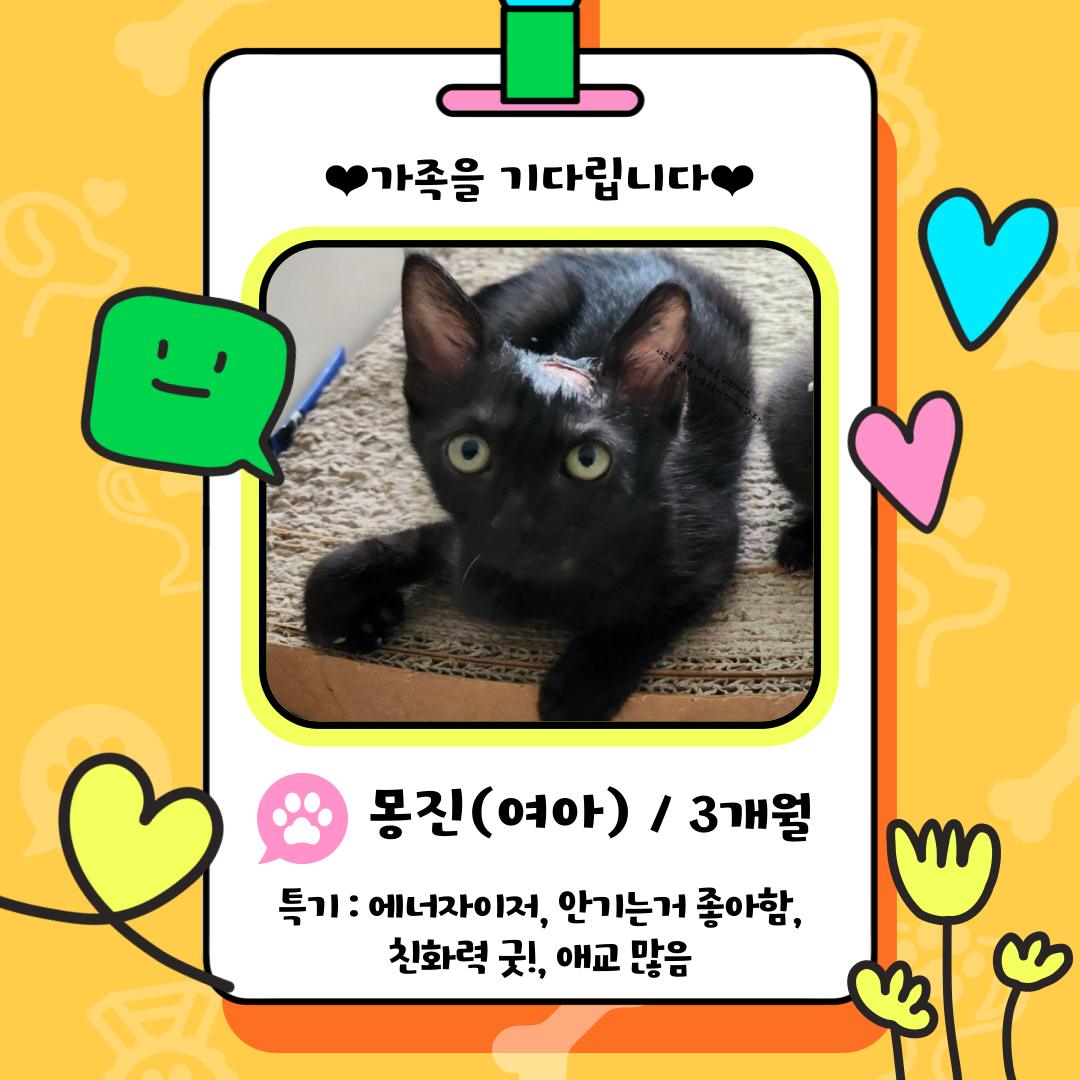 서길동센터 대표 이미지