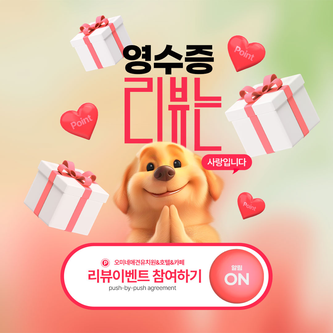 사진 2