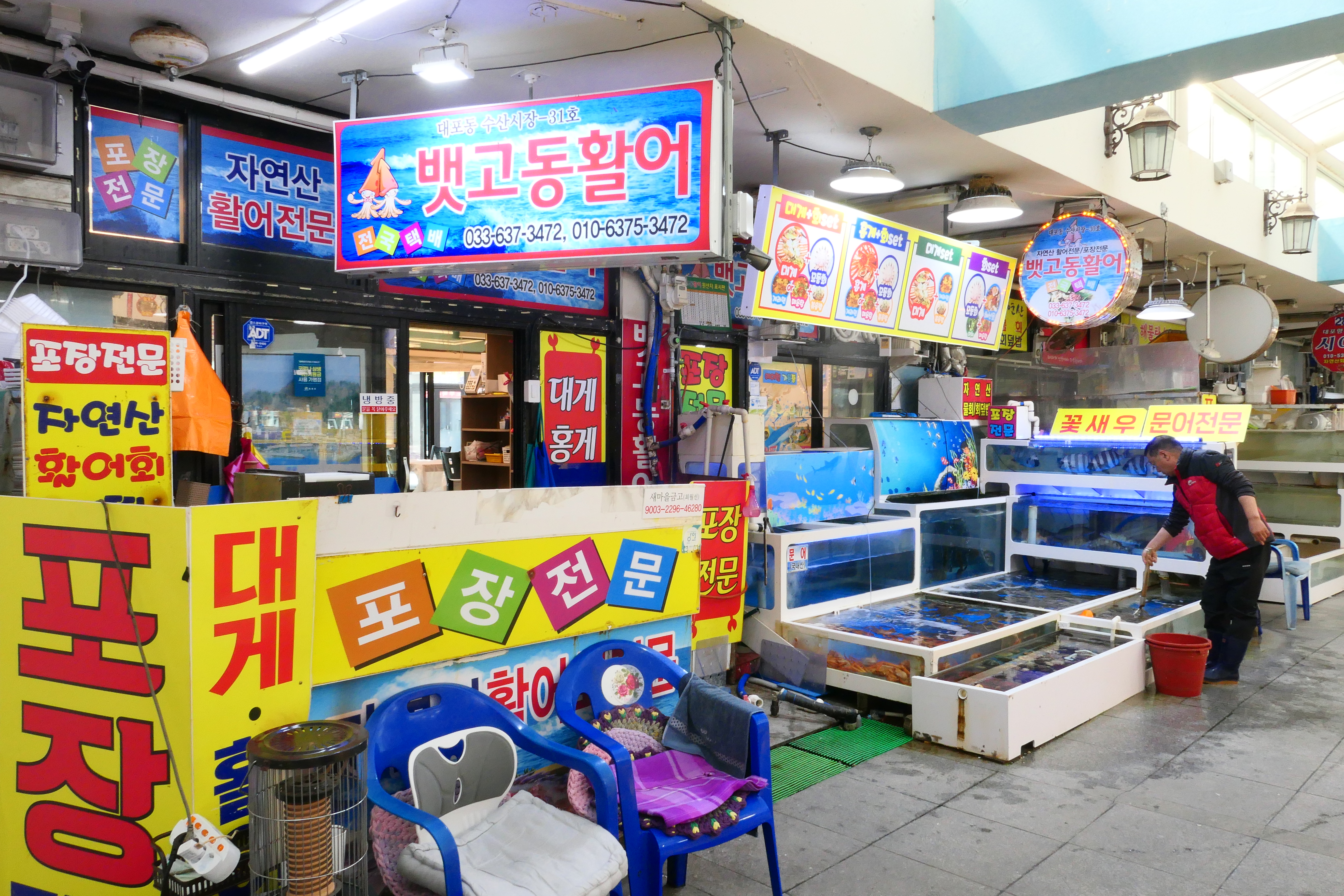 뱃고동활어 2