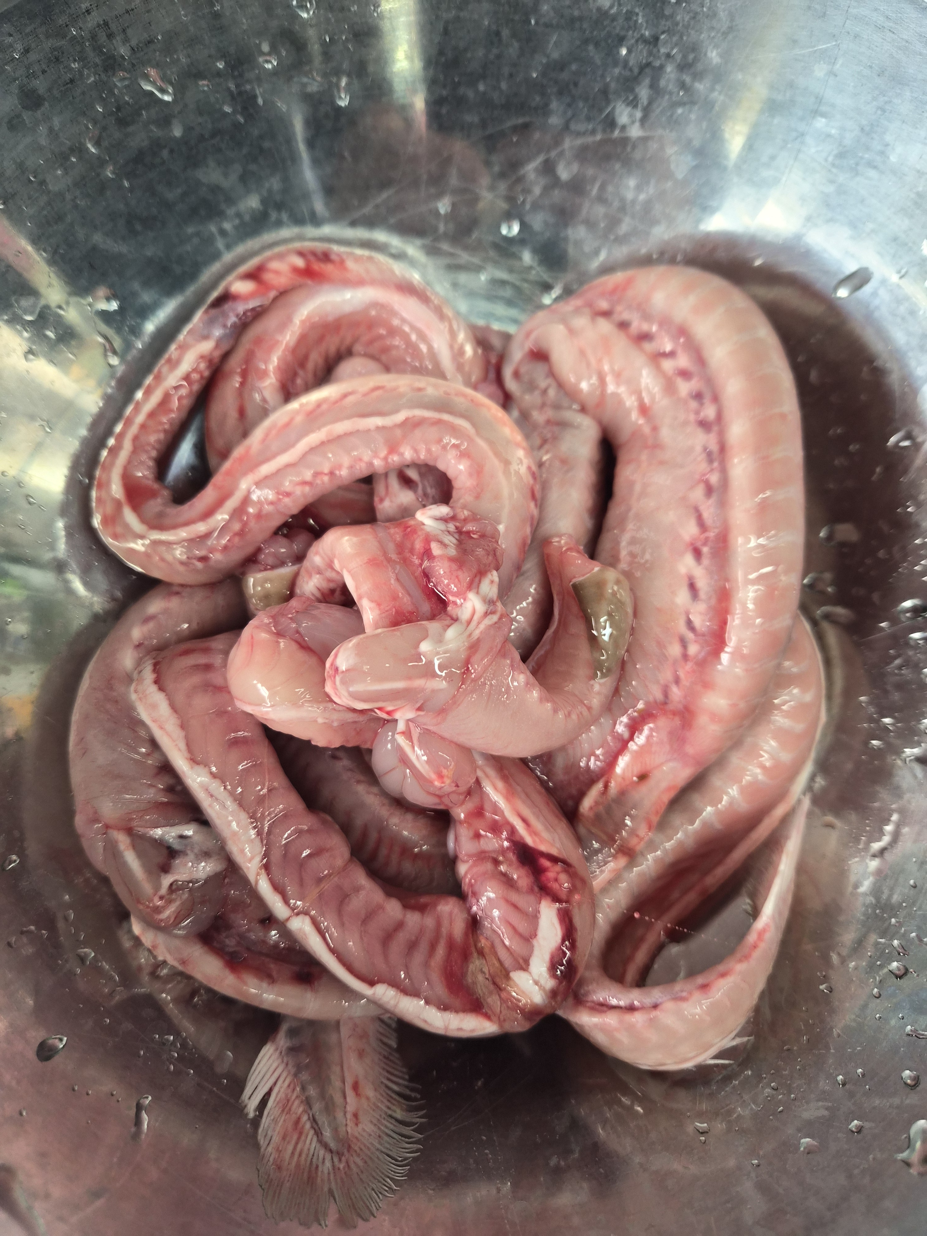 메종41 3