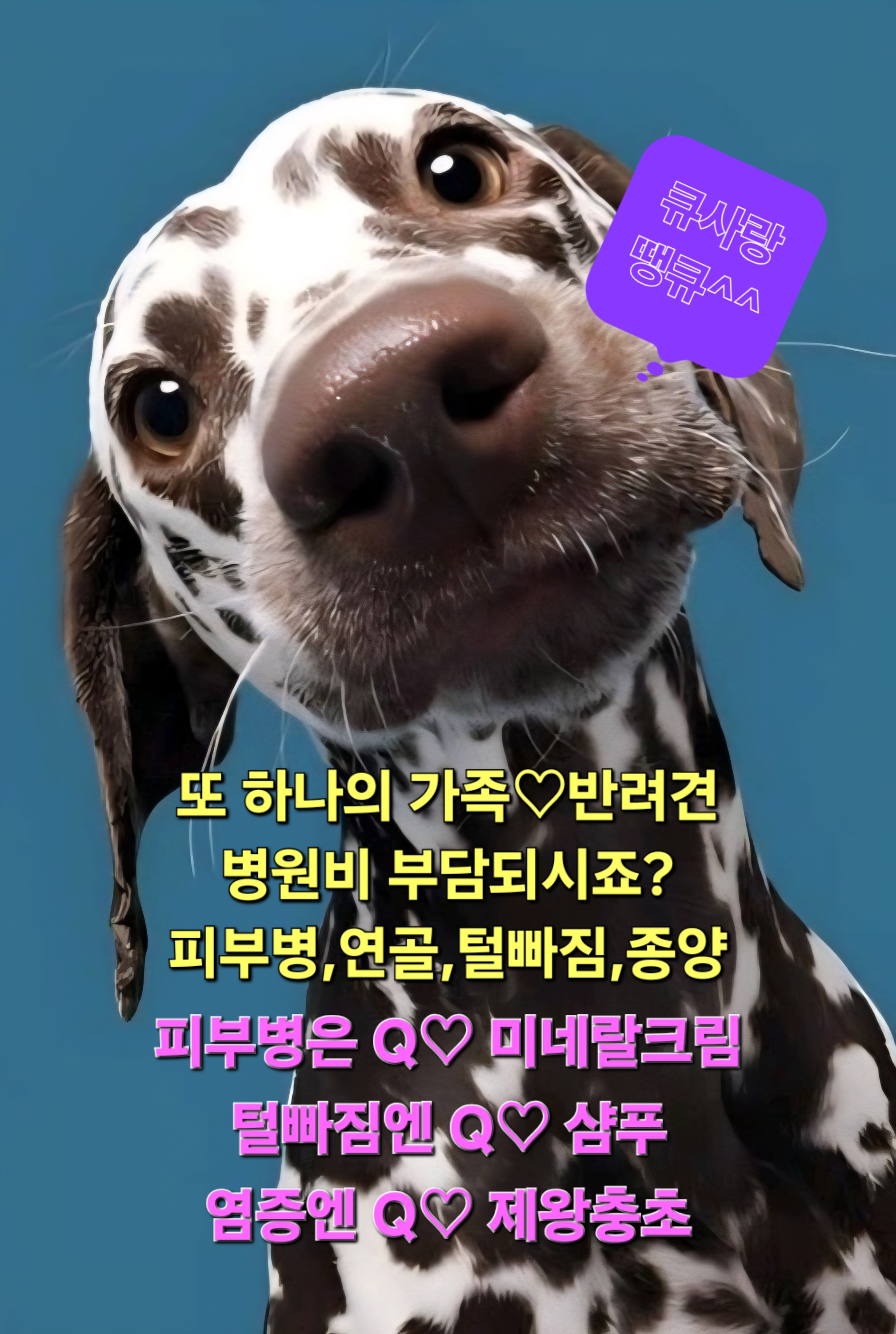 큐사랑 소사푸르지오점 대표 이미지