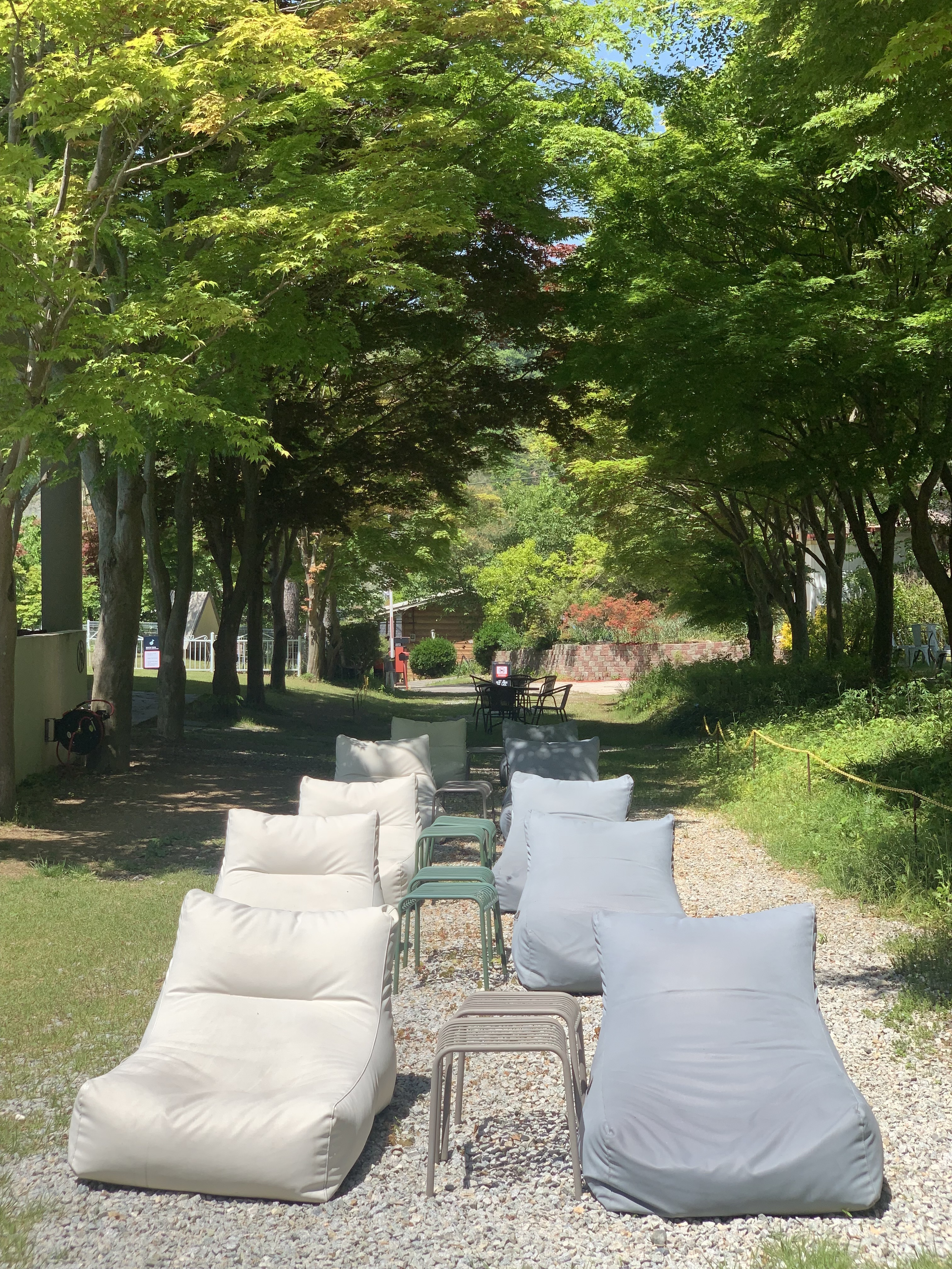사진 2