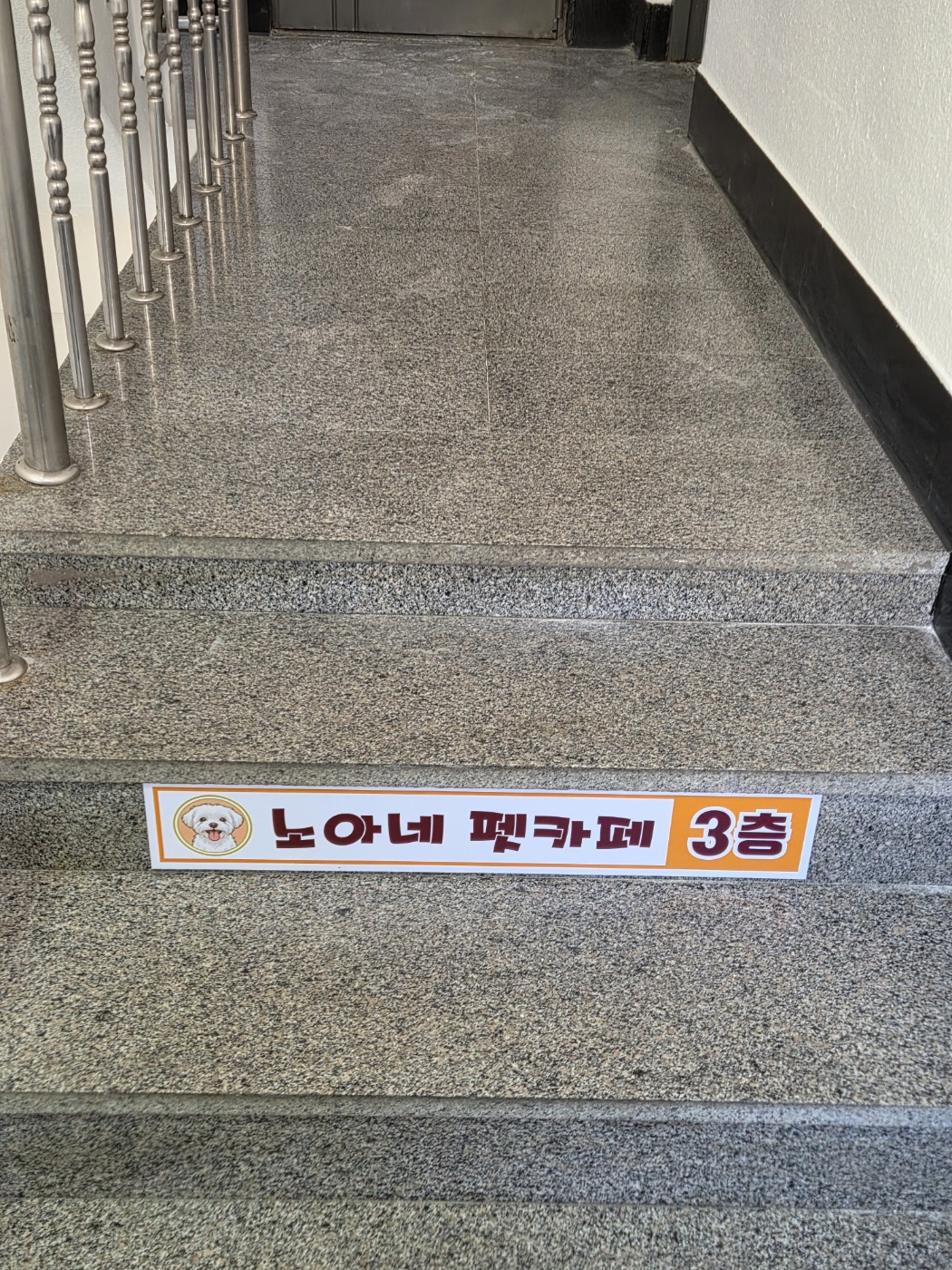 사진 3