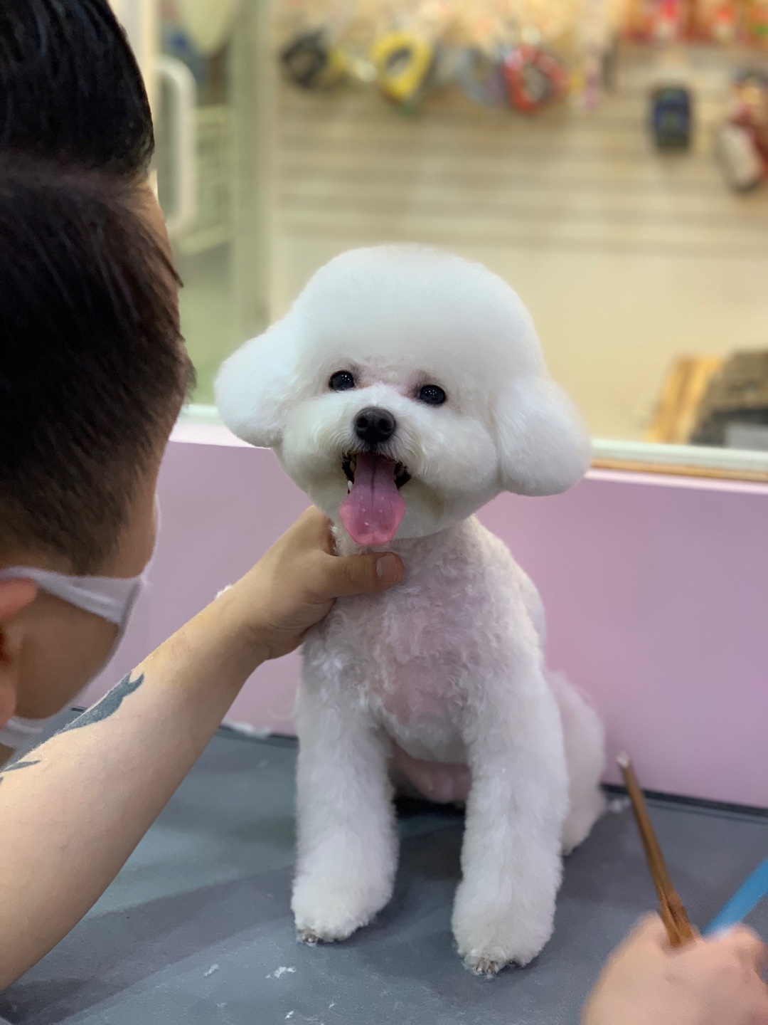 사진 2