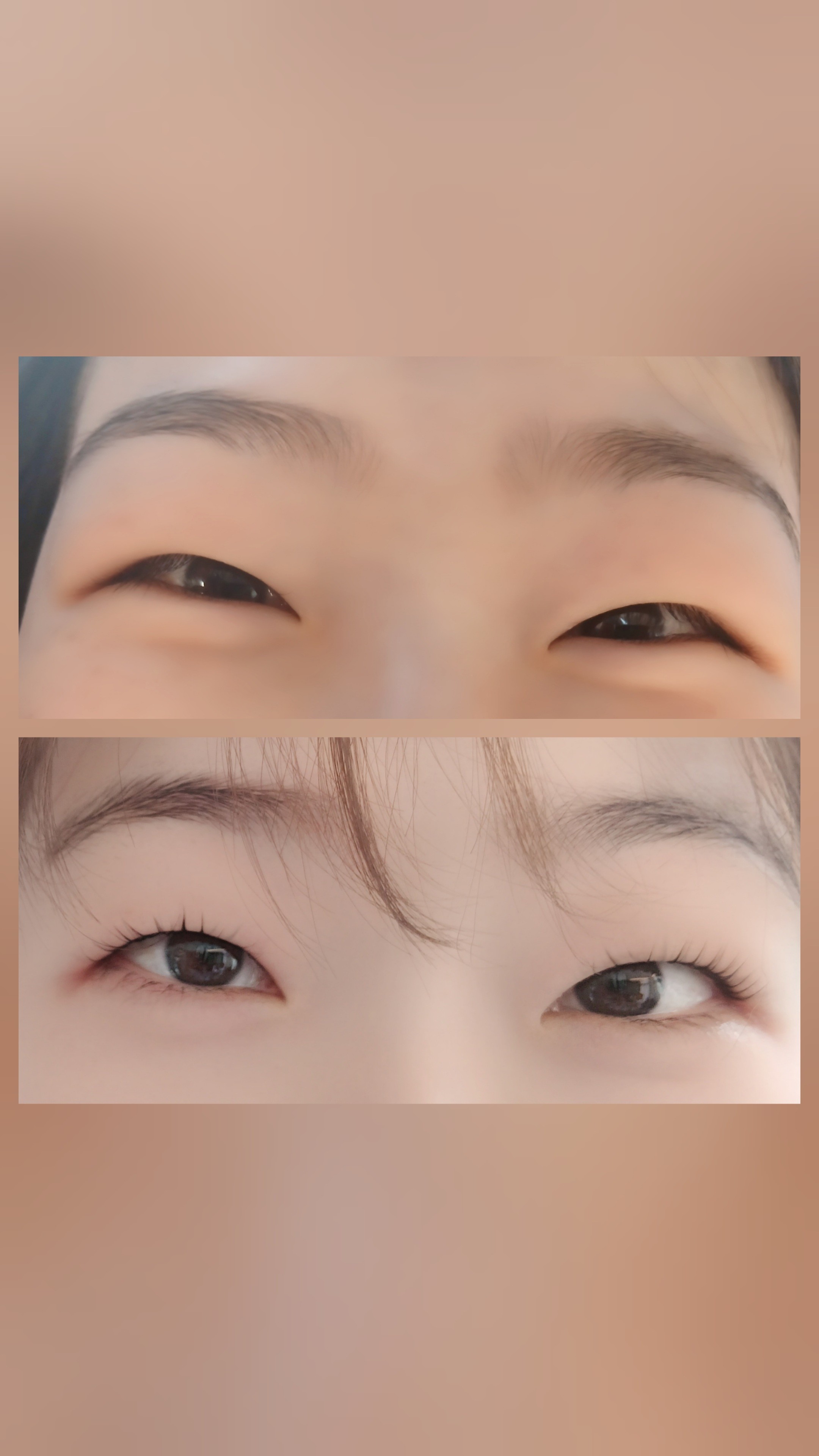 아르케뷰센 photo 8