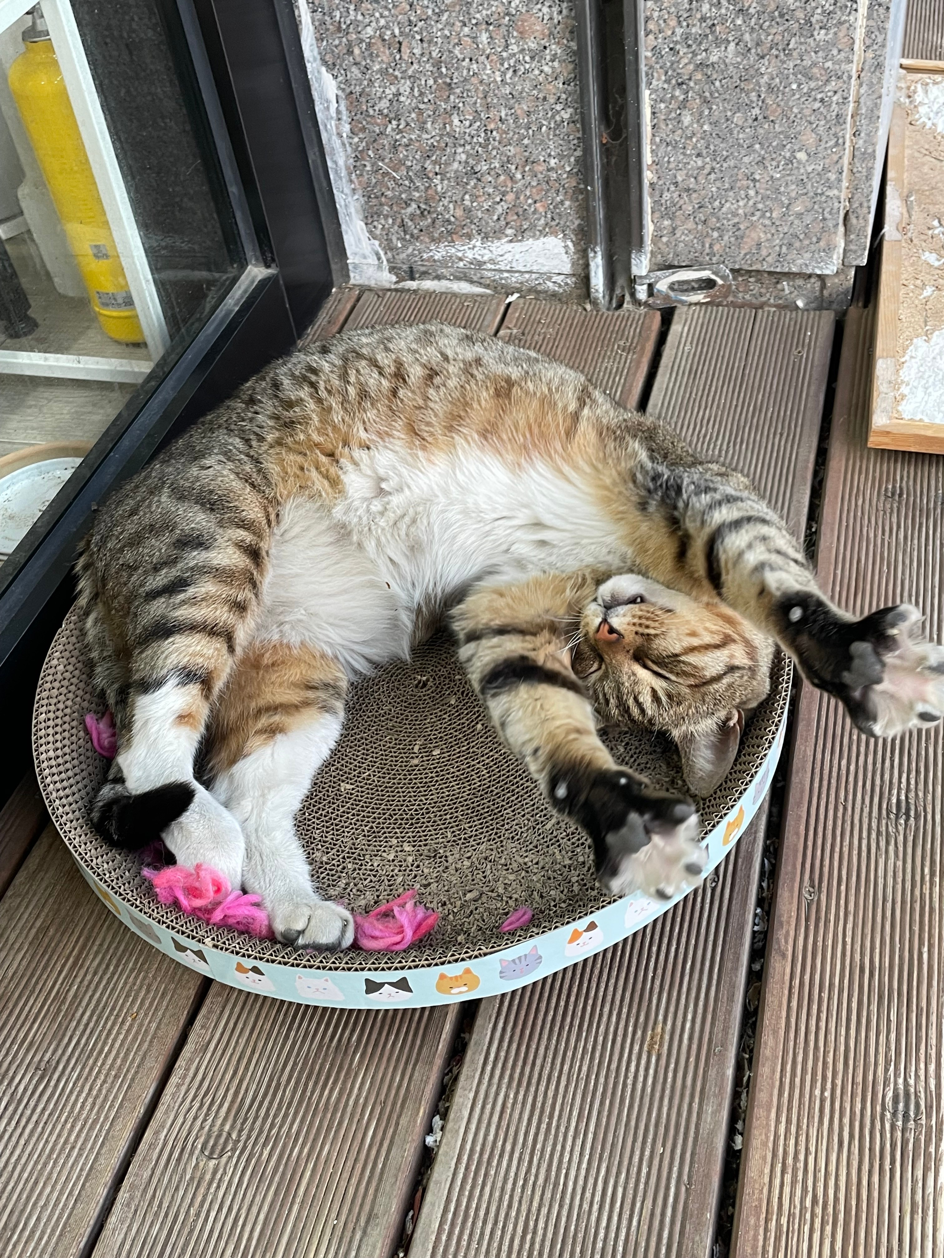 세검정온누리약국