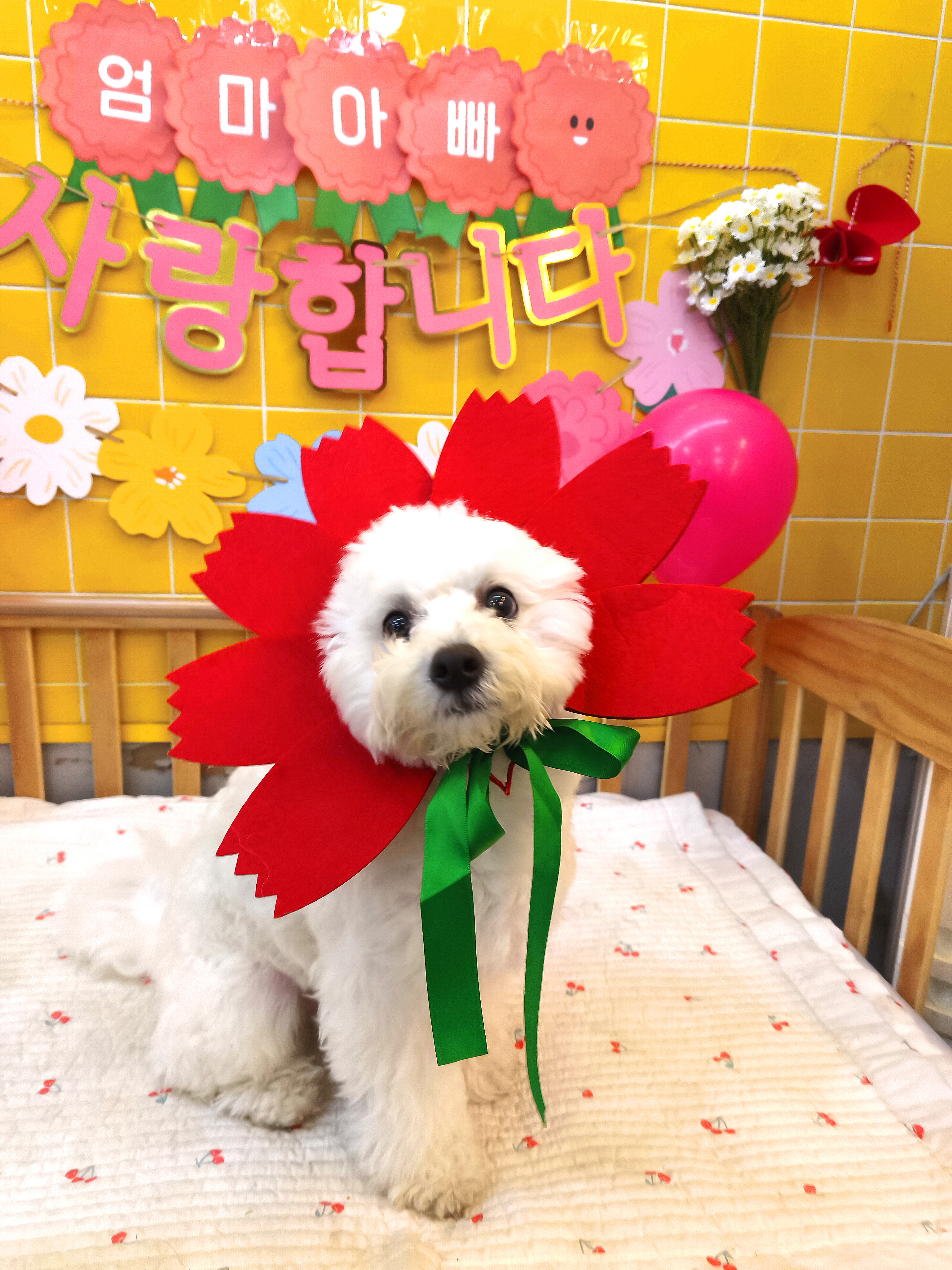 사진 1