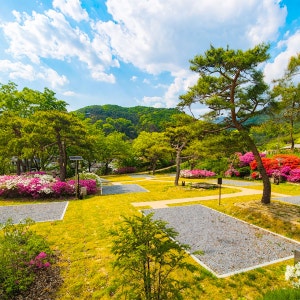 소백산별빛 캠핑장