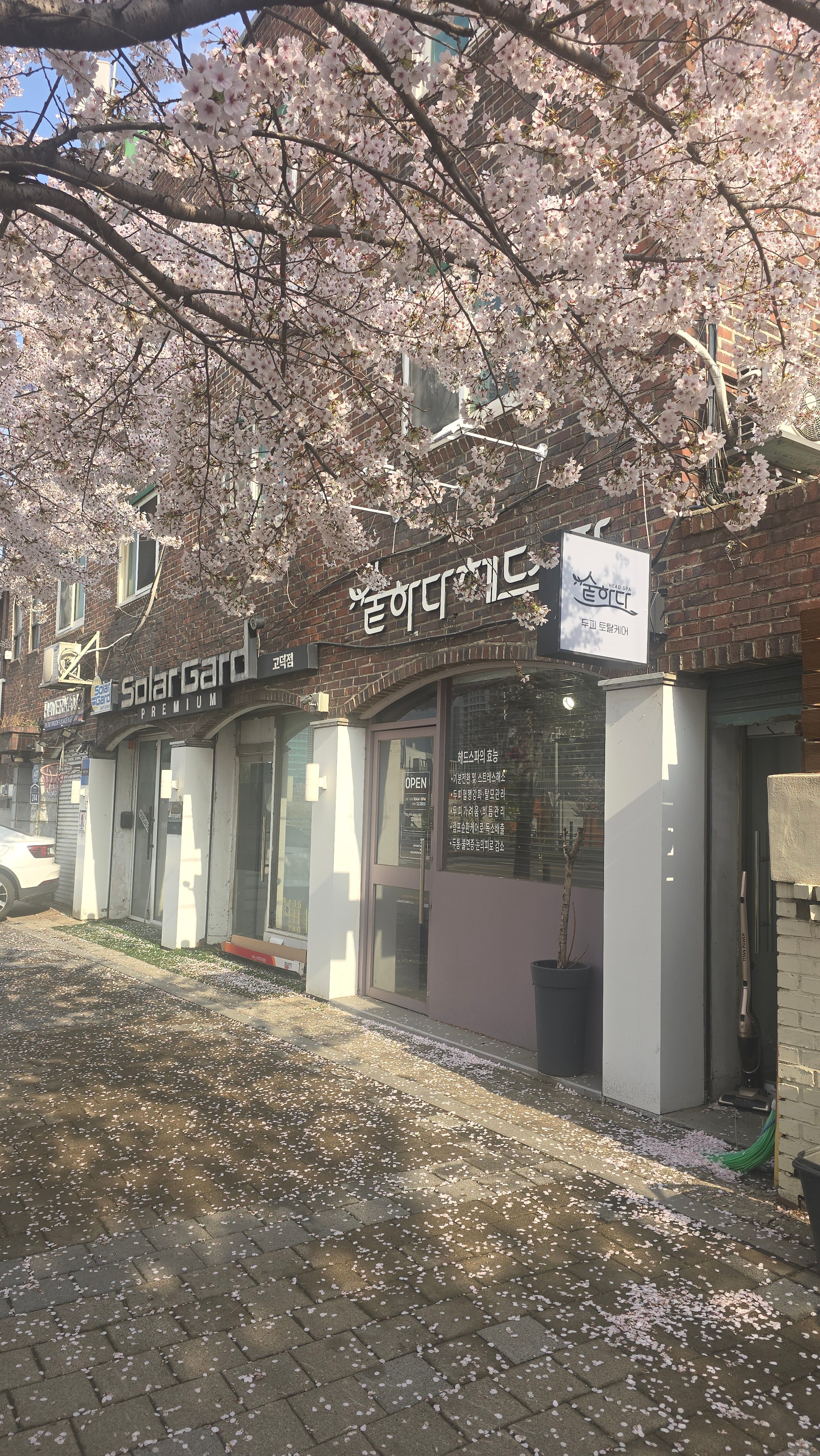 숱하다헤드스파 photo 3