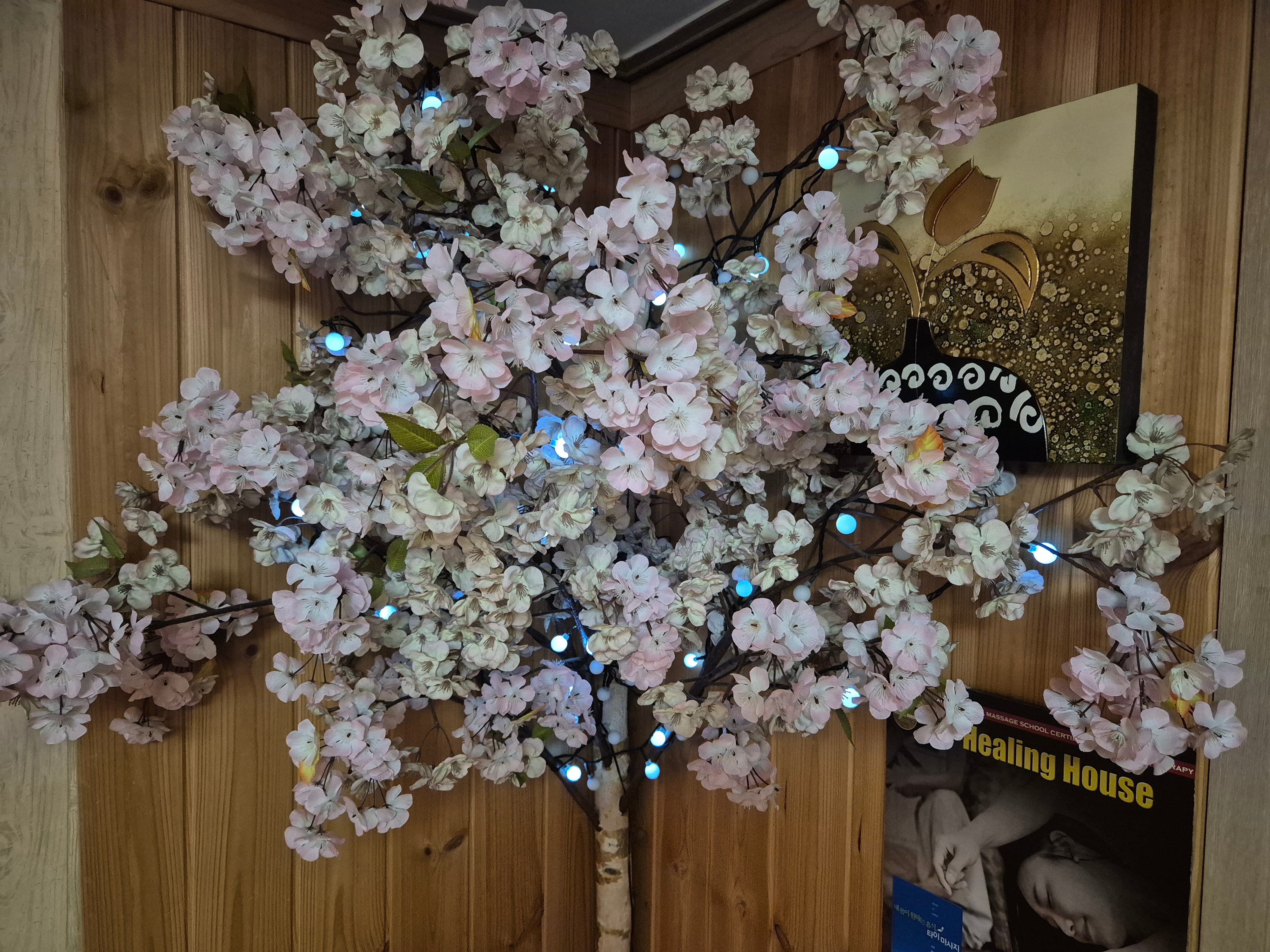 힐링하우스마사지 천안신부점 photo 2