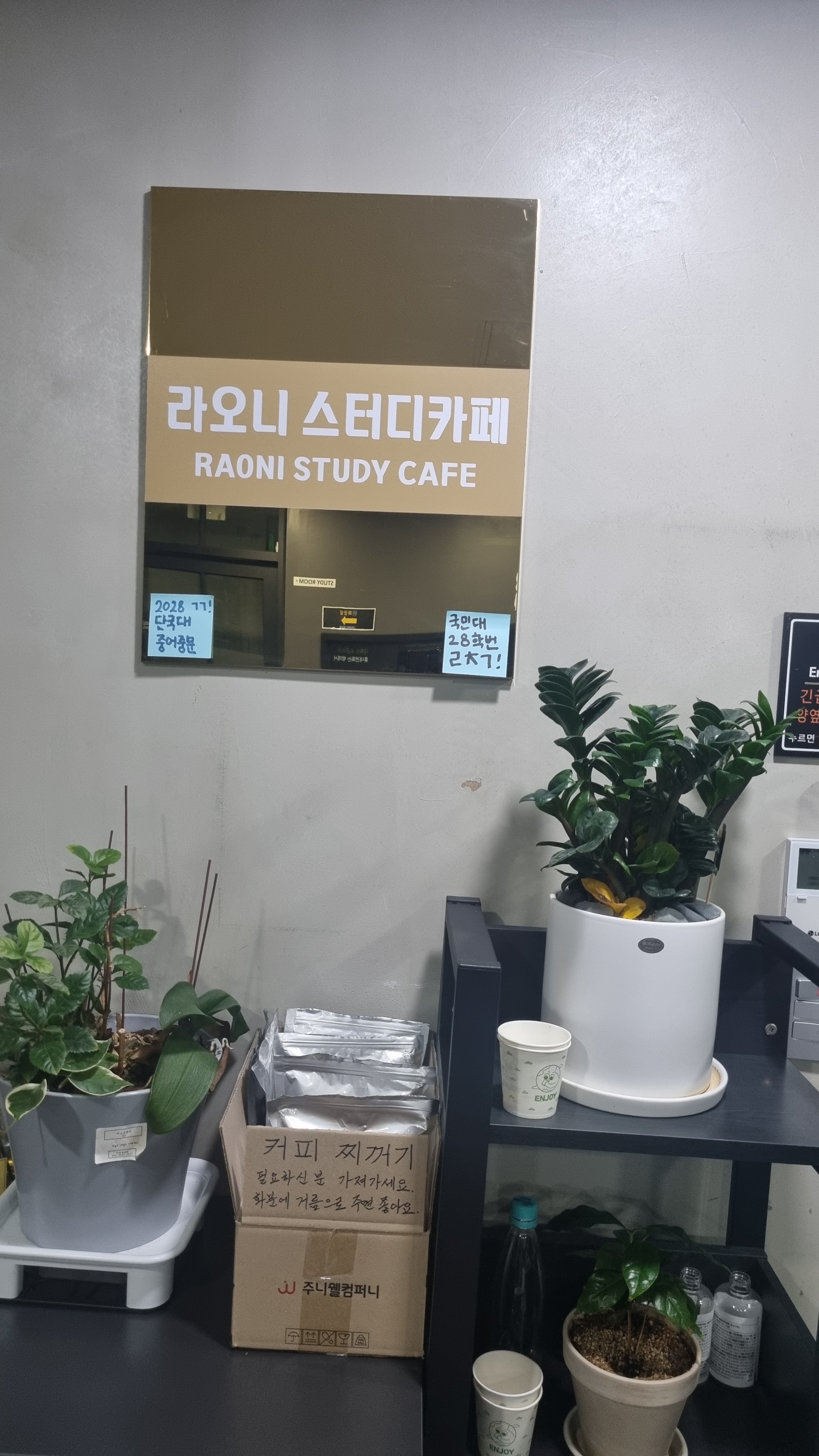 라오니 스터디카페 대표이미지