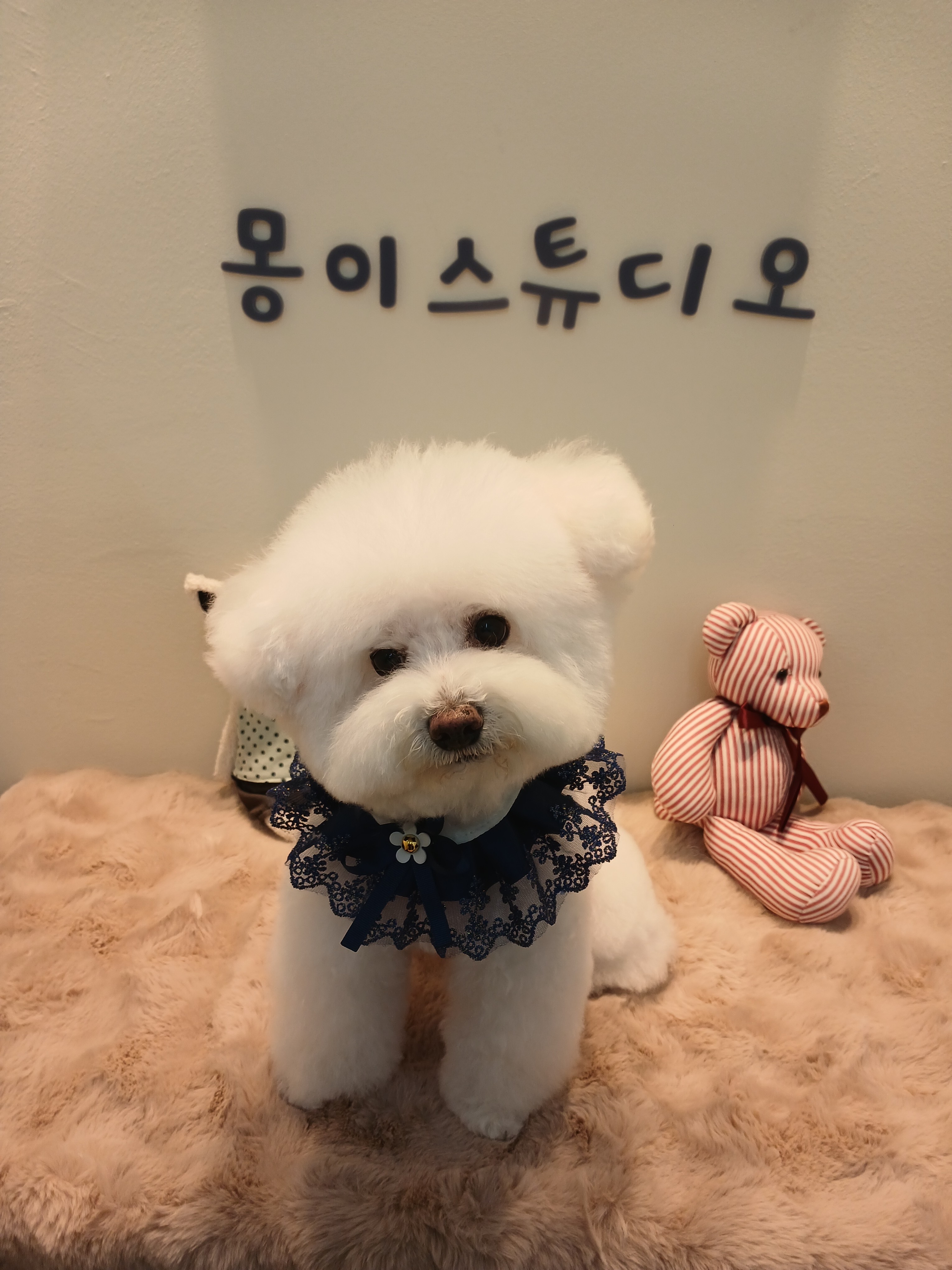 몽이스튜디오 대표 이미지
