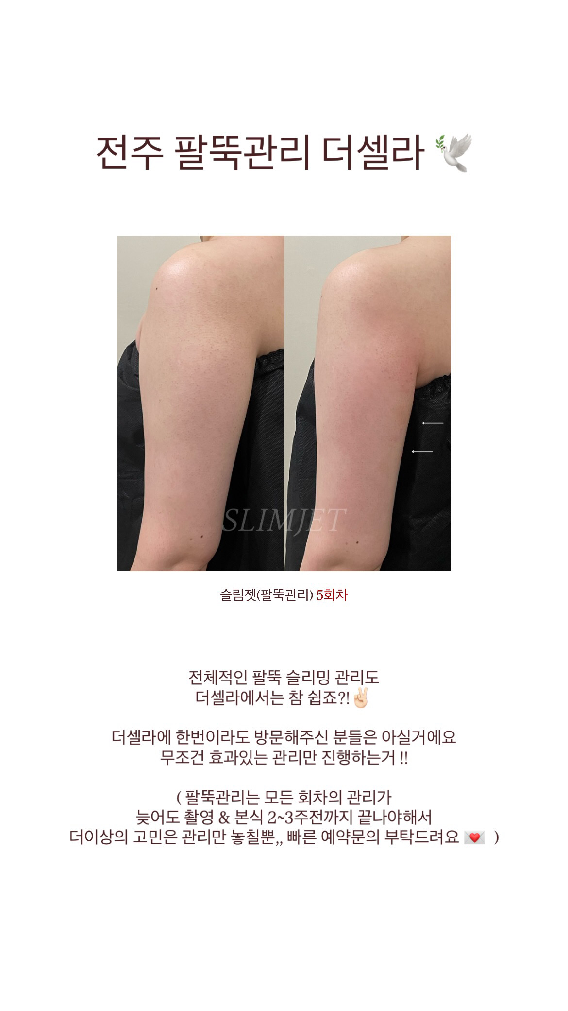 더셀라 photo 6