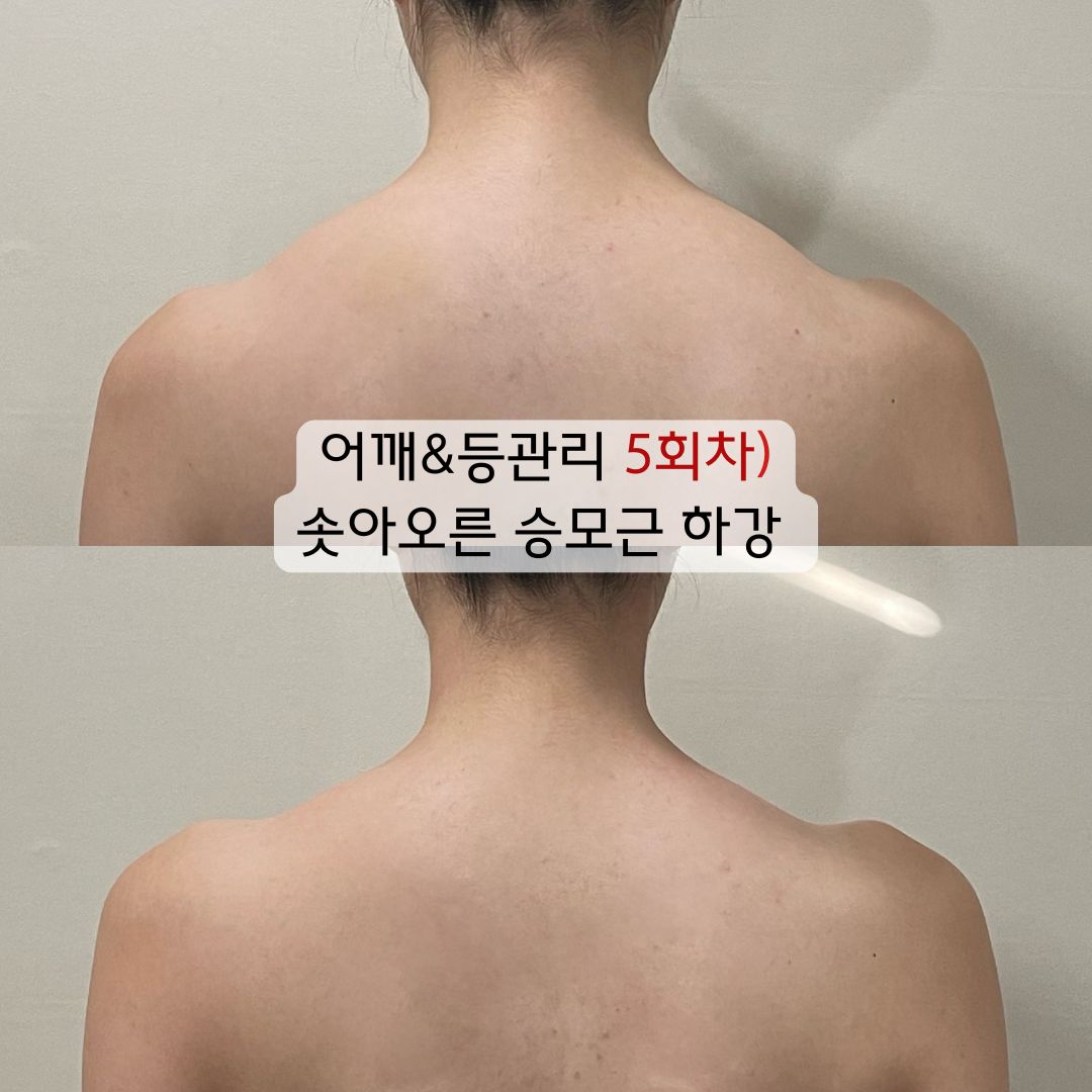 더셀라 photo 2