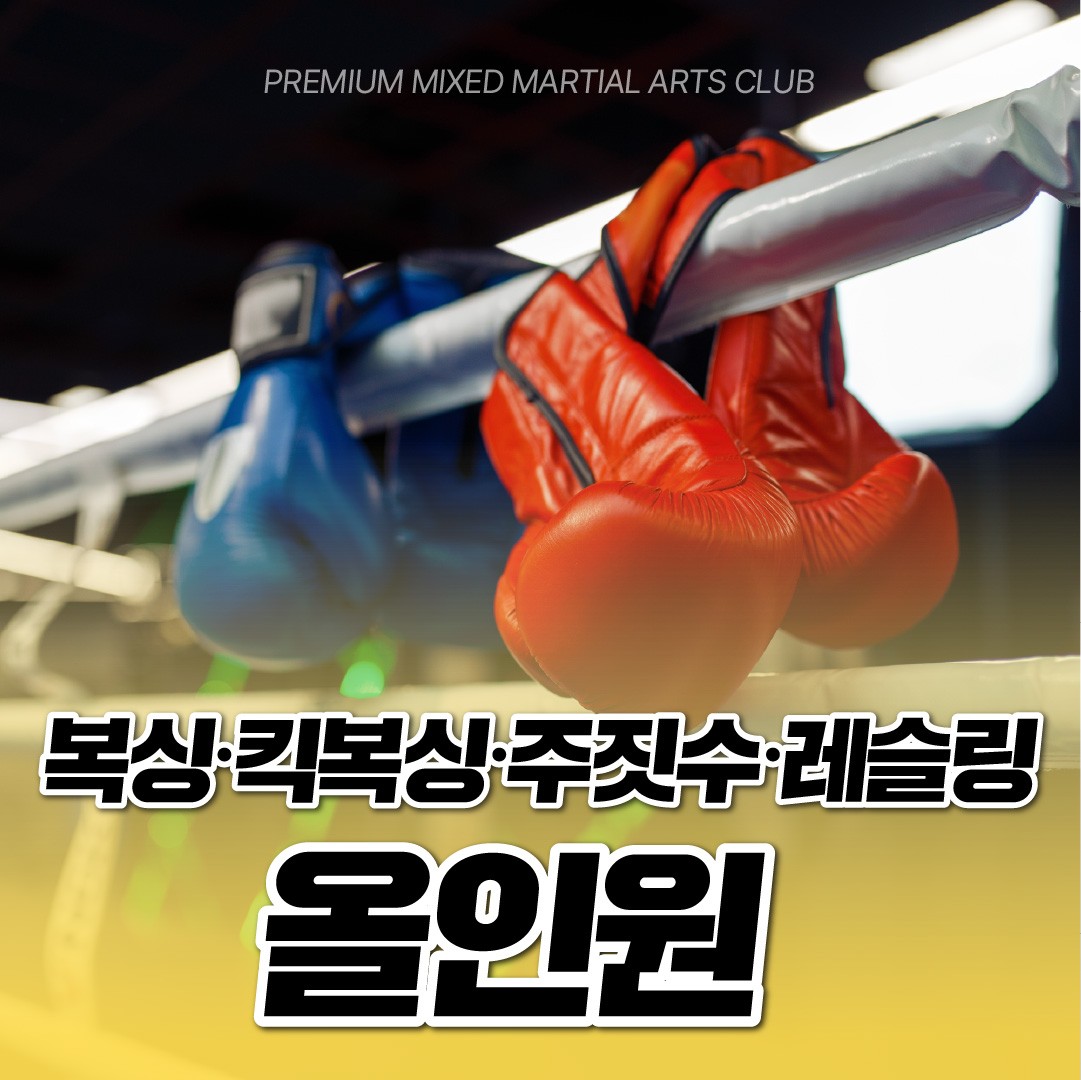 서울 강남구 선릉로 복싱체육관 카프킥복싱MMA 강남 내부 모습 2