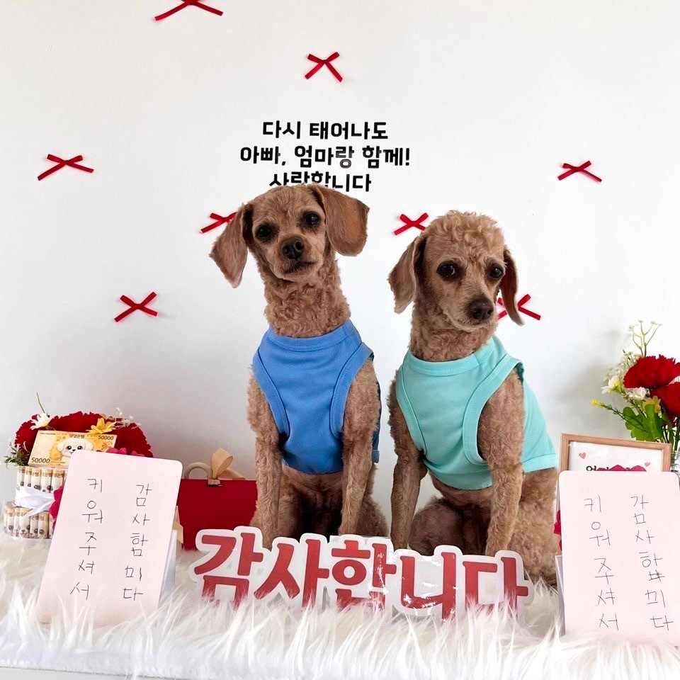 사진 4