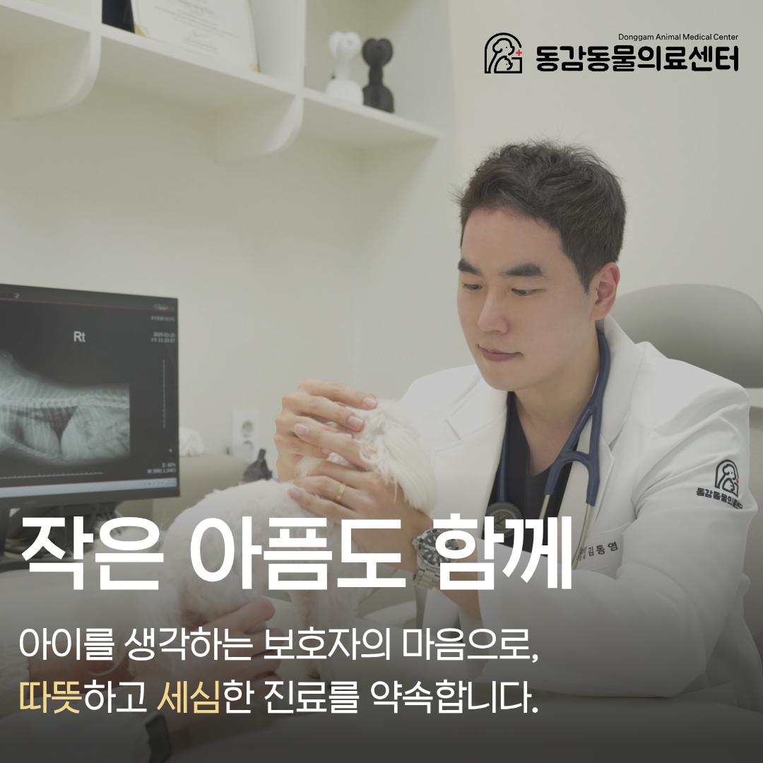 동감동물의료센터 대표 이미지