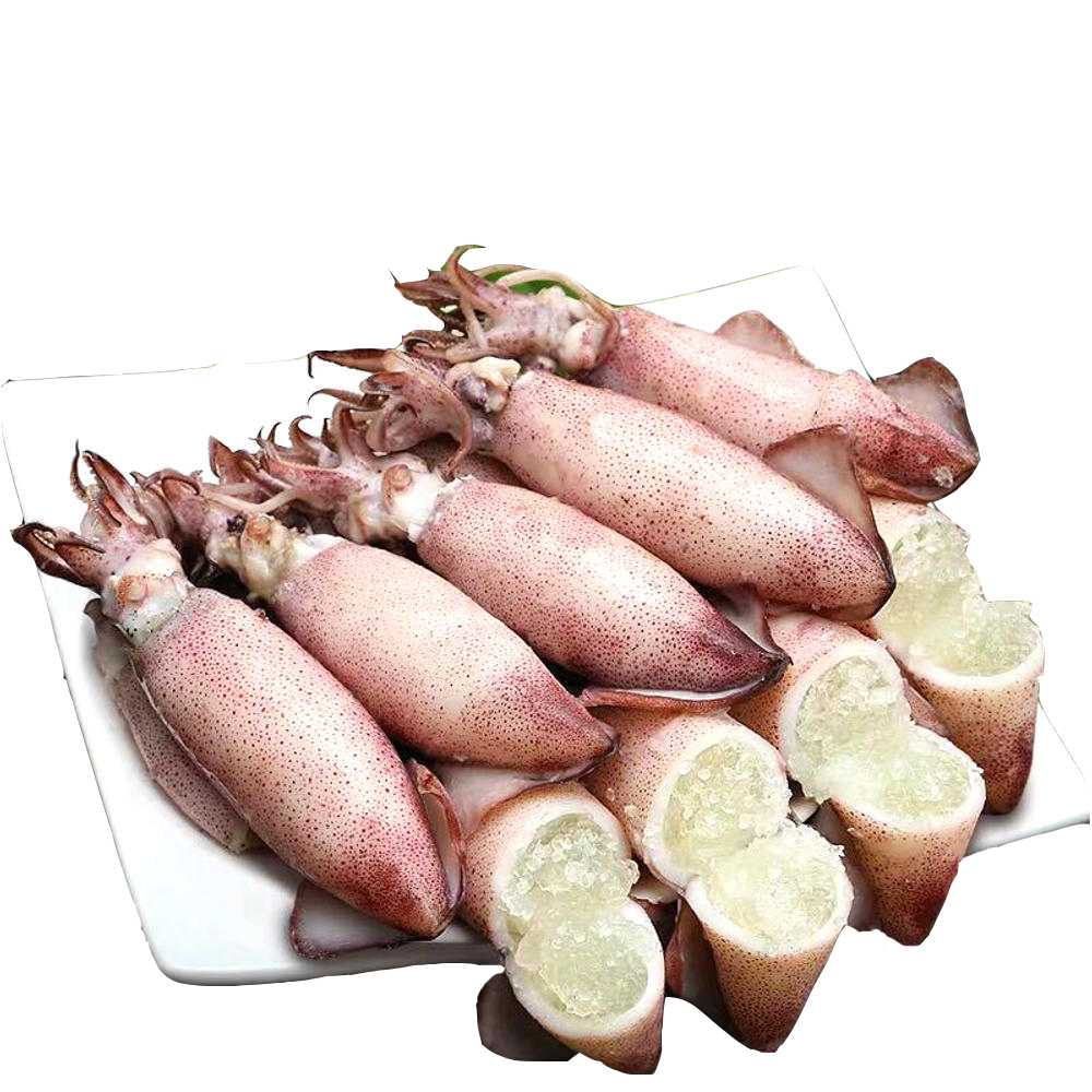 총알 꼴뚜기(1p)