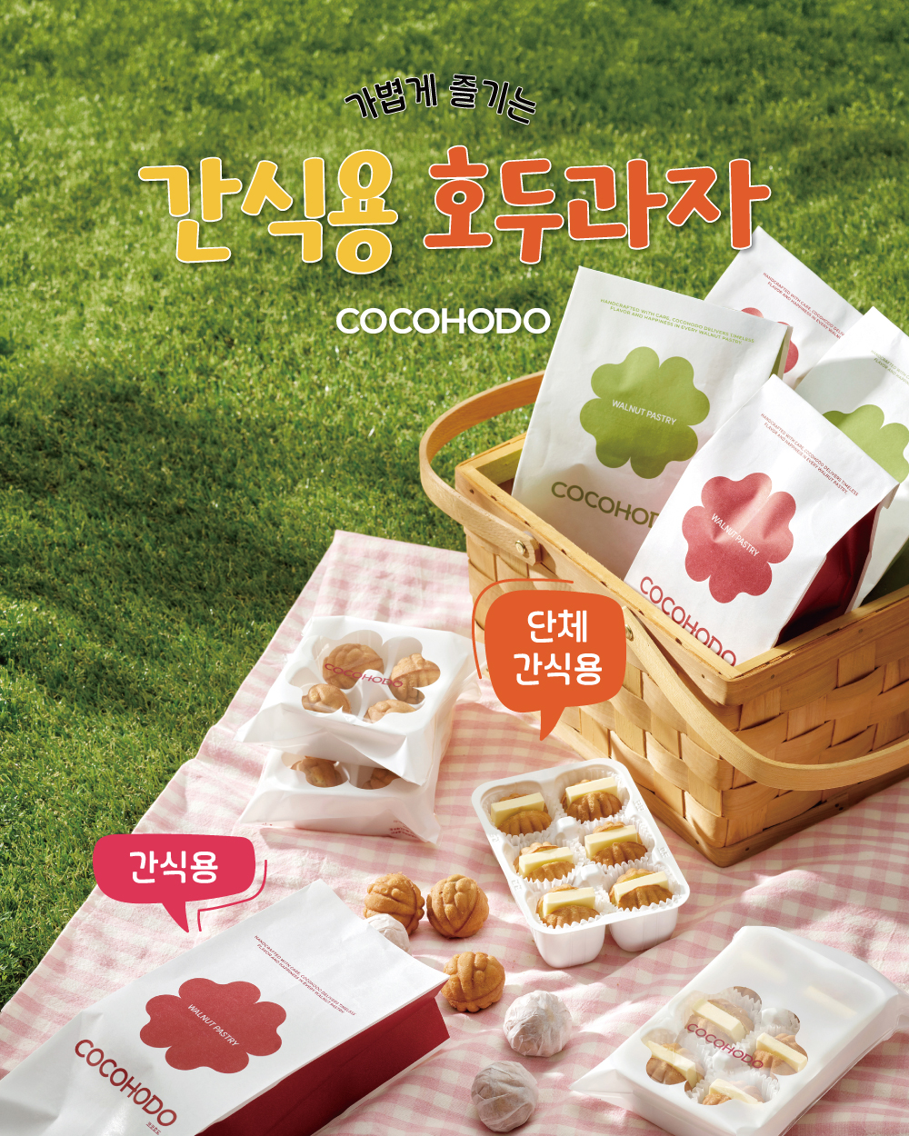 코코호도 조양점 2