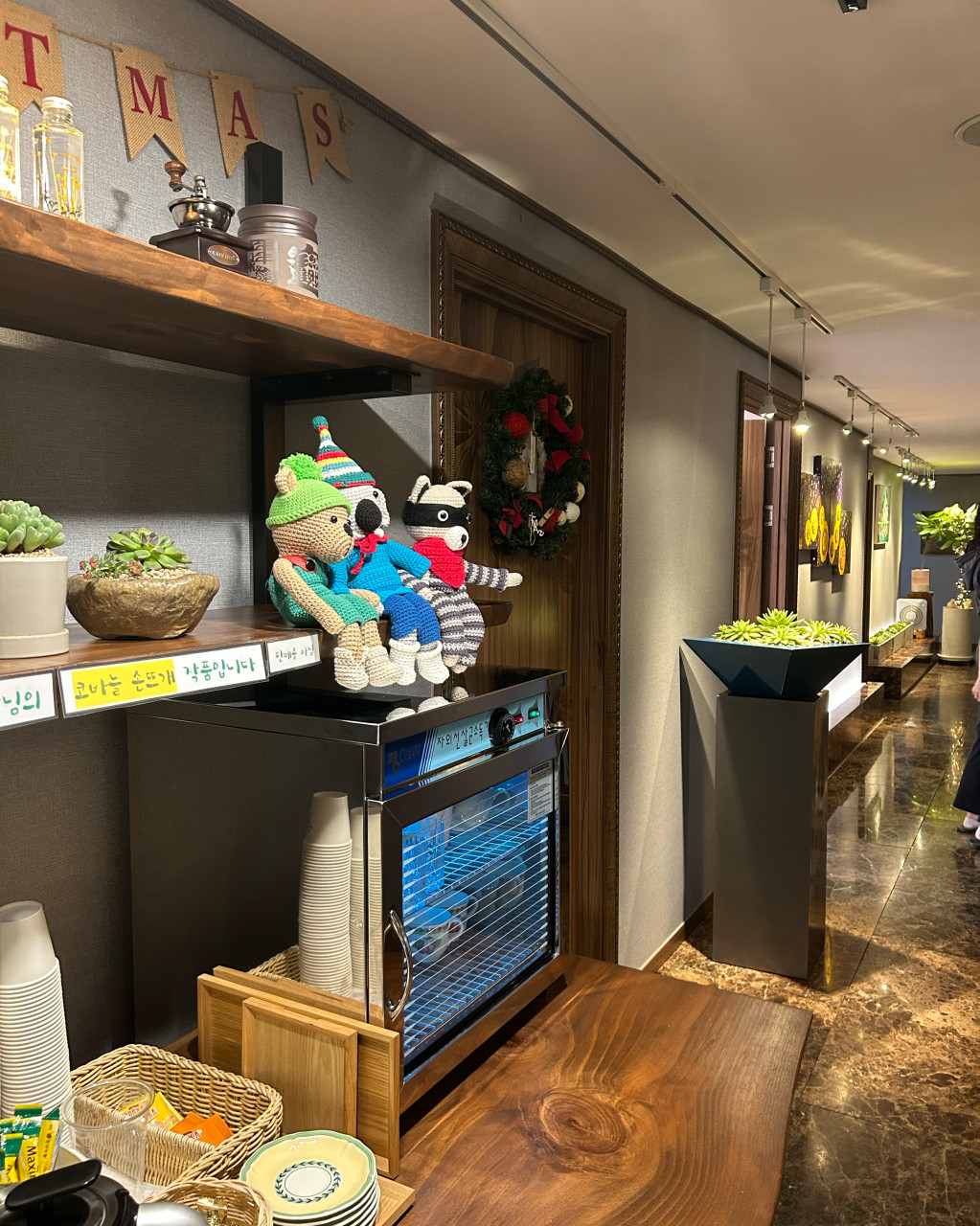 올리브나무 photo 8