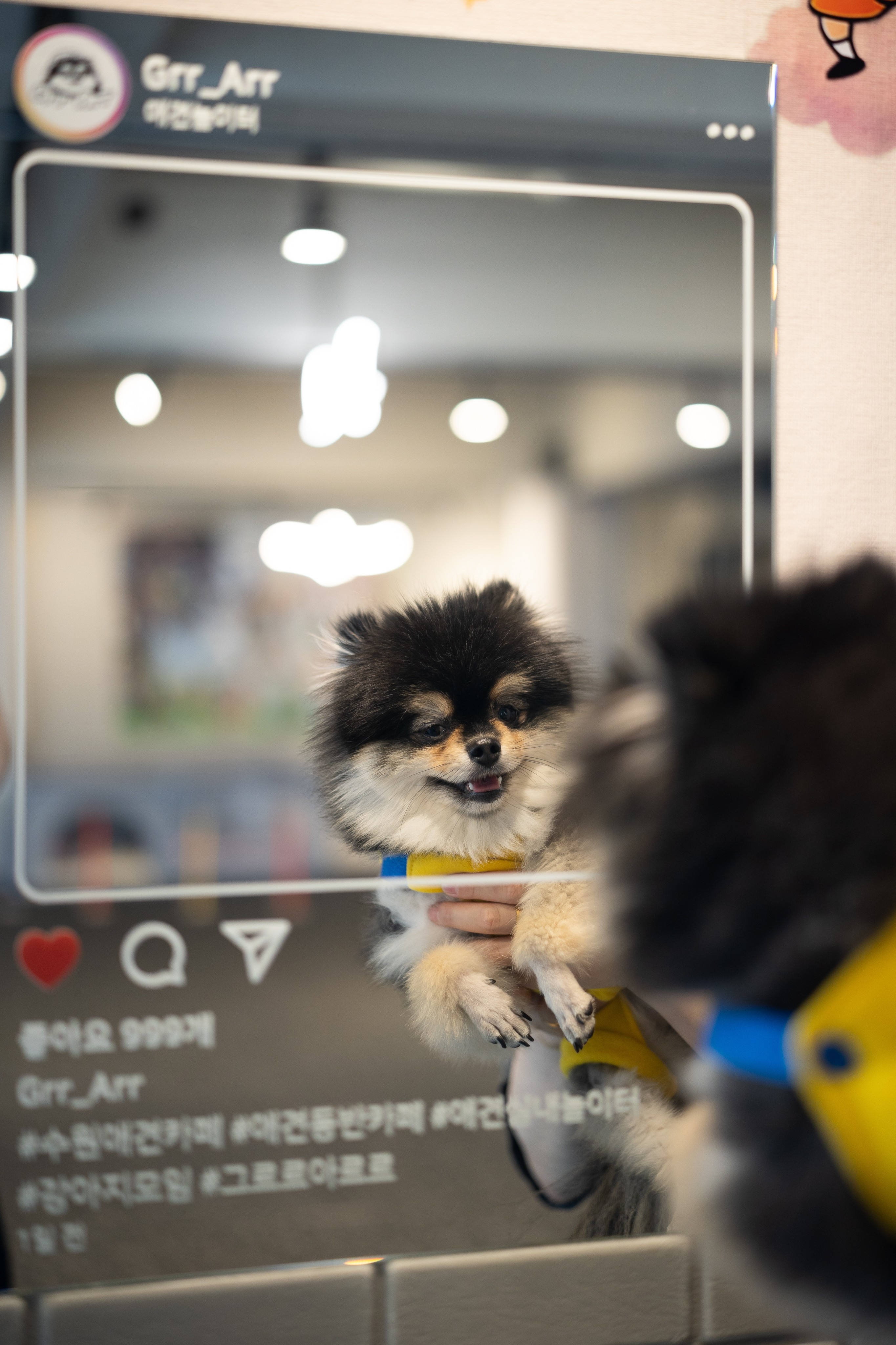 그르르아르르 대표 이미지
