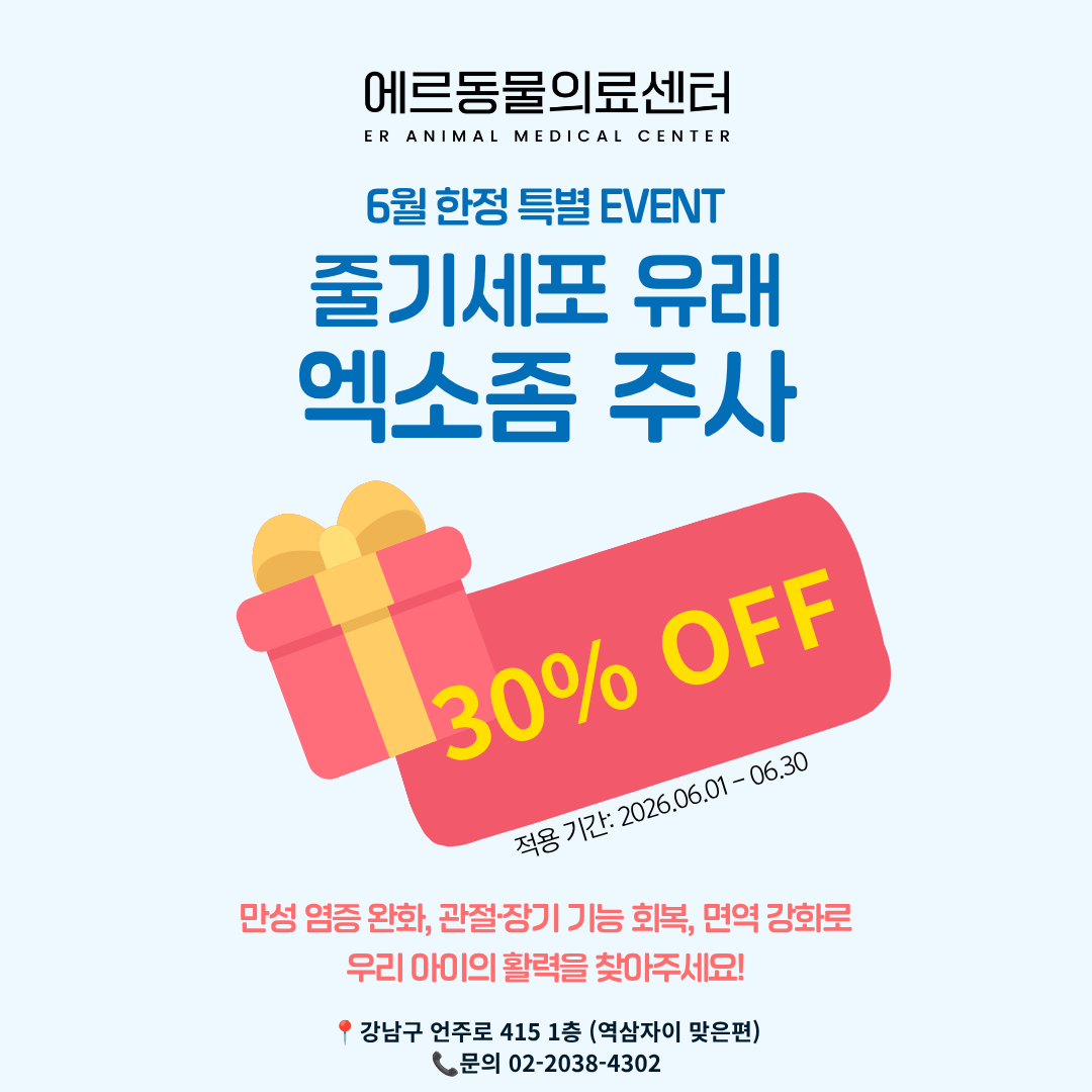 에르동물의료센터 대표이미지