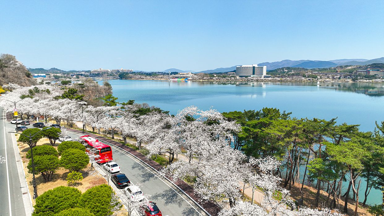 경주 보문호 글램핑